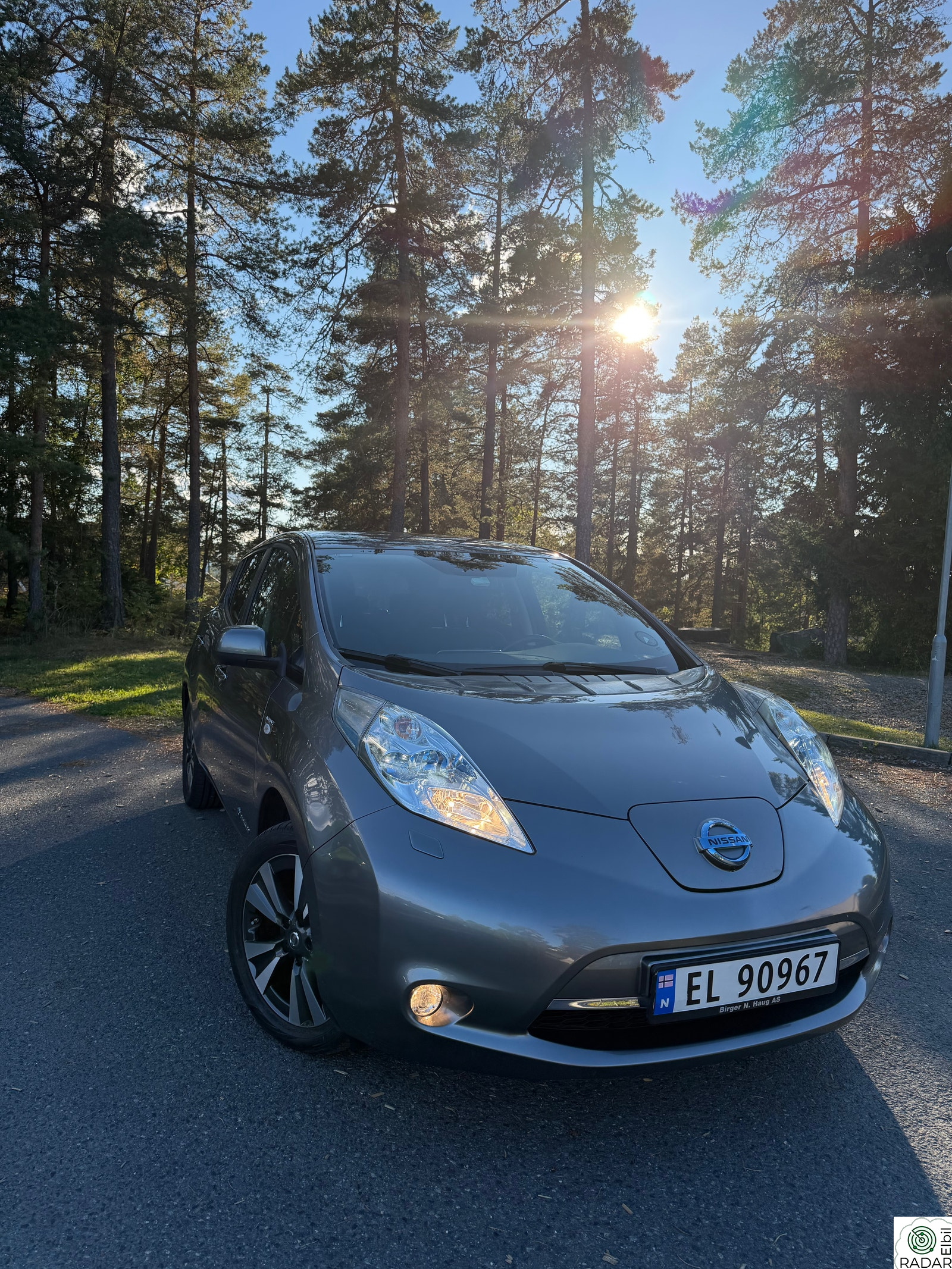 NISSAN LEAF 30kWh Nordic 30kWh/360 kam/Navi/Bose/KUN 2 eiere