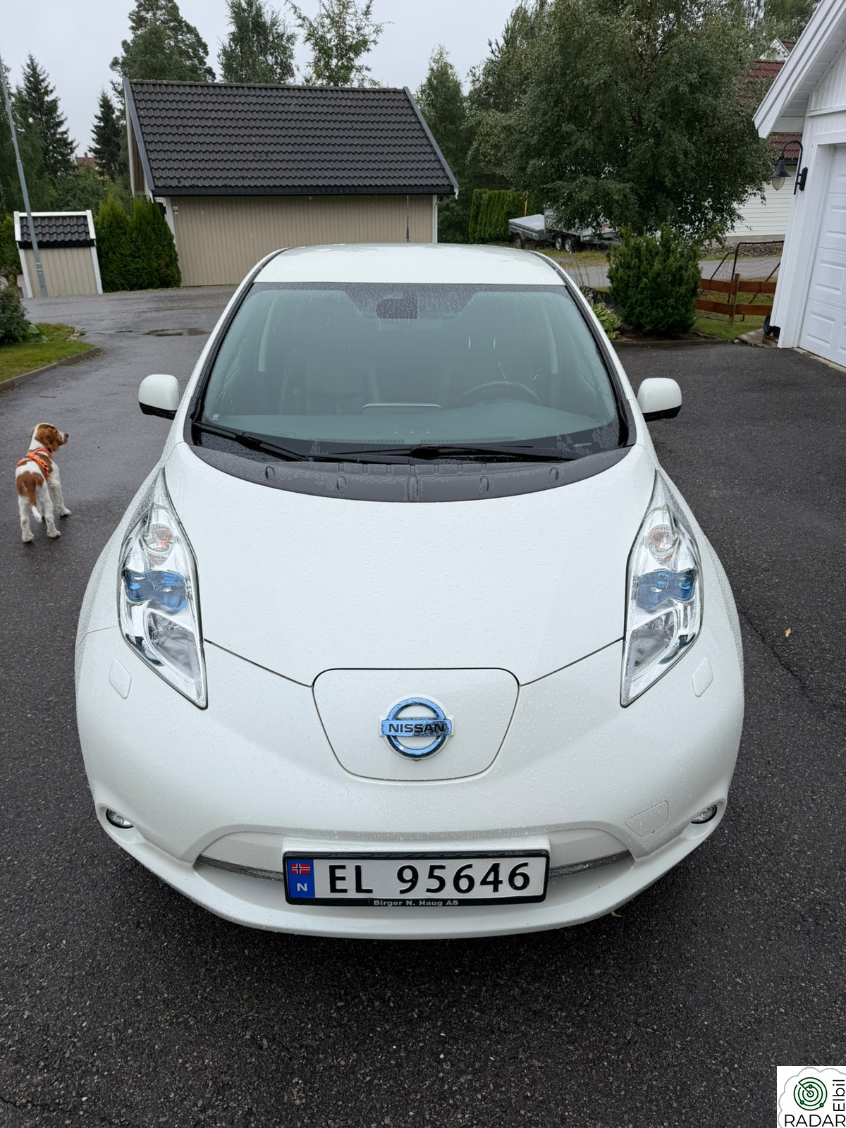 NISSAN LEAF 30kWh Tekna 30kWh