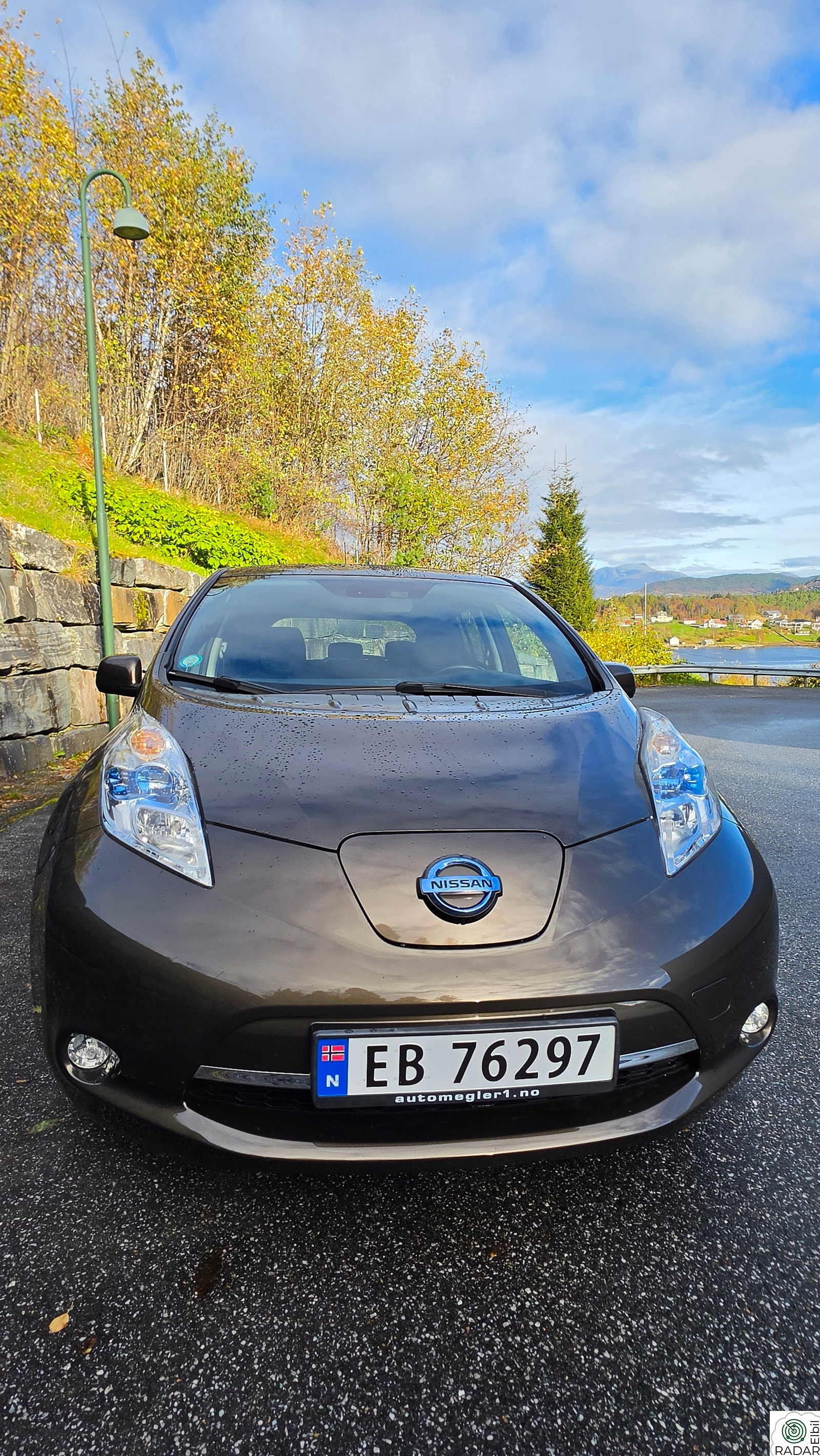 NISSAN Leaf 30kWh Tekna 30kWh