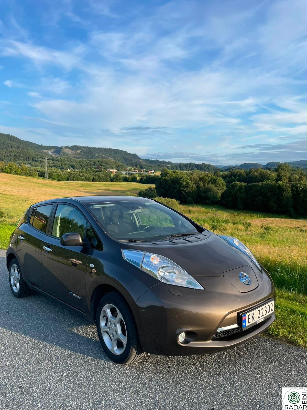 NISSAN LEAF 30kWh Nordic 30kWh