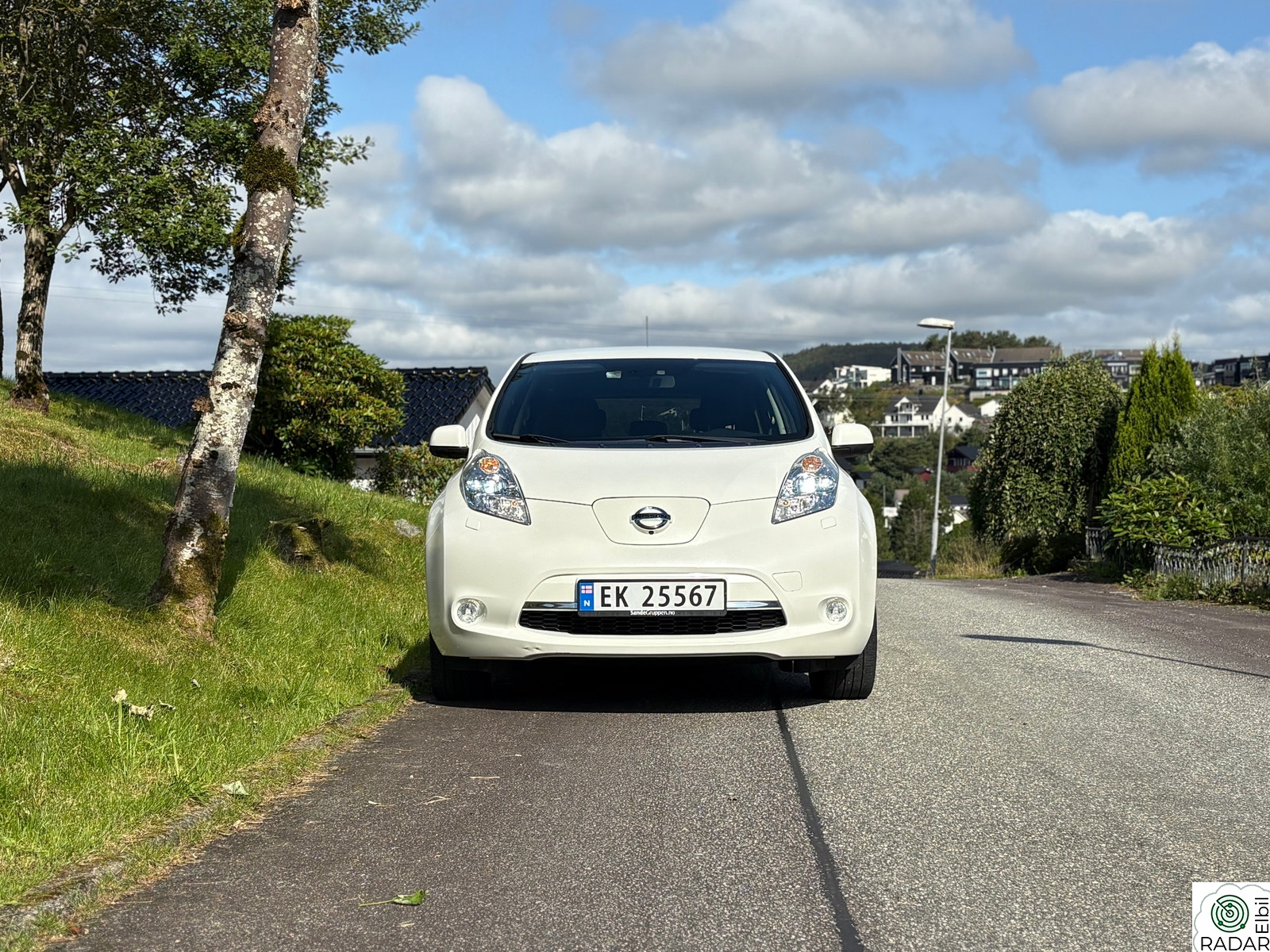 NISSAN LEAF 30kWh Tekna 30kWh