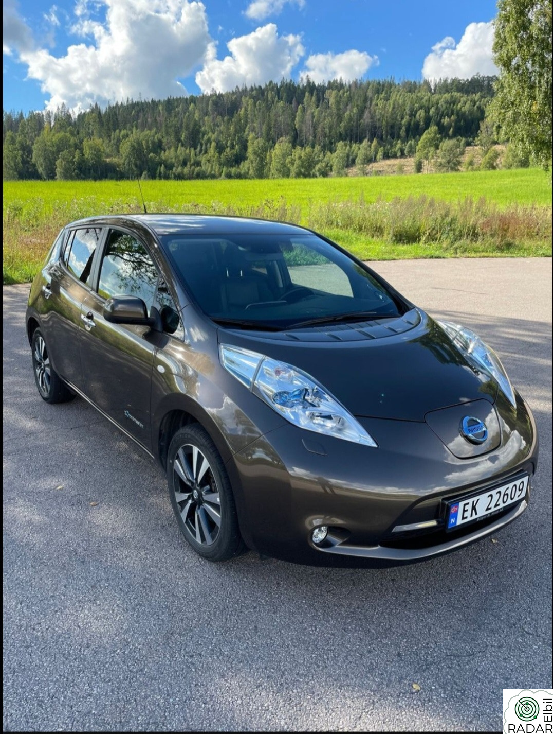 NISSAN LEAF 30kWh Tekna 30kWh
