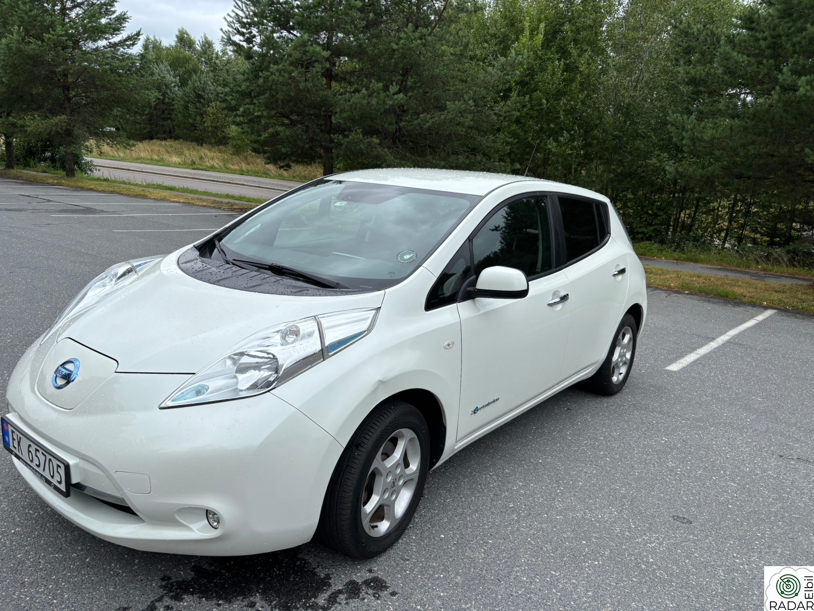NISSAN Leaf 30kWh ZE0