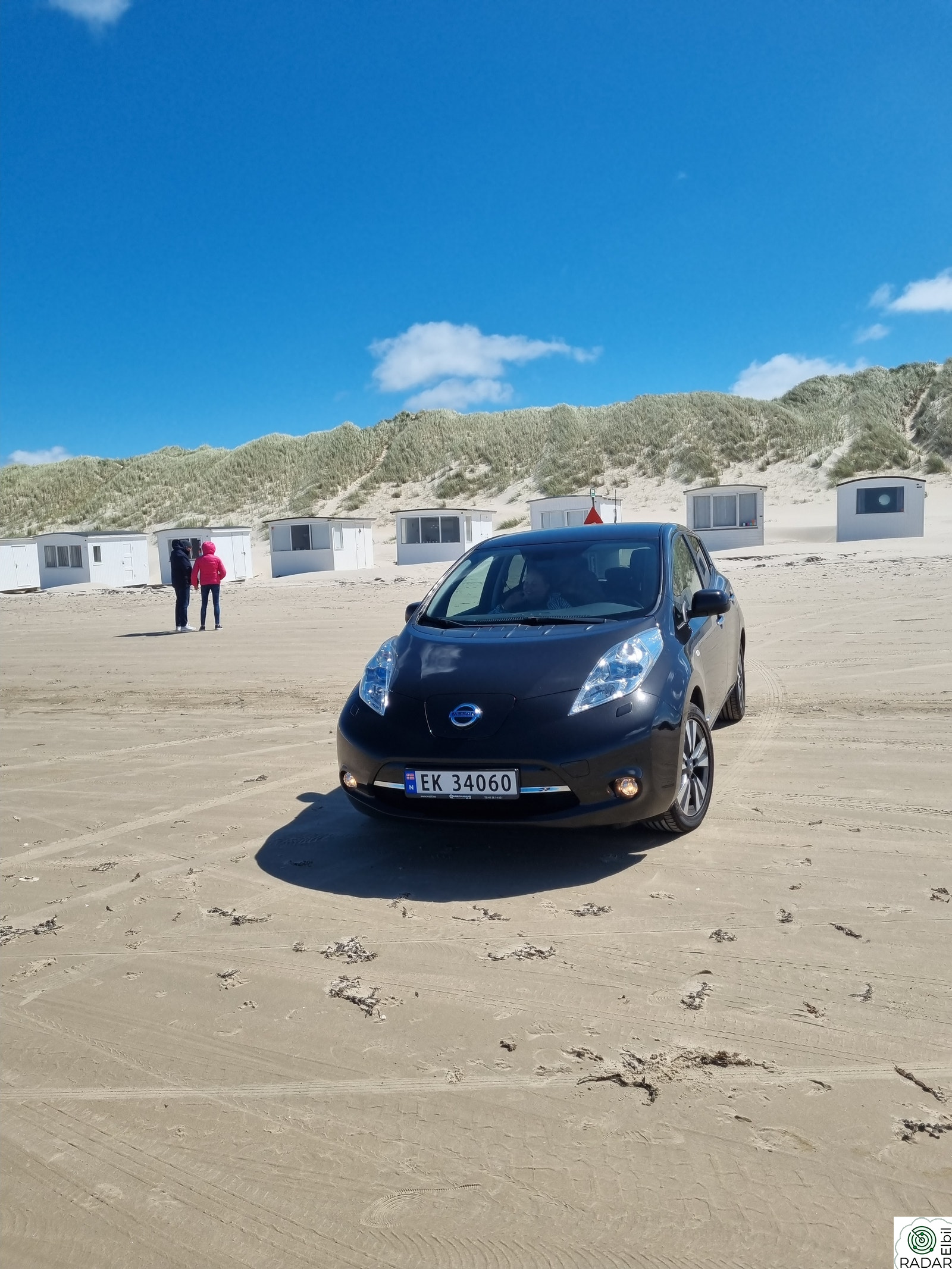 NISSAN LEAF 30kWh Tekna 30kWh (K)