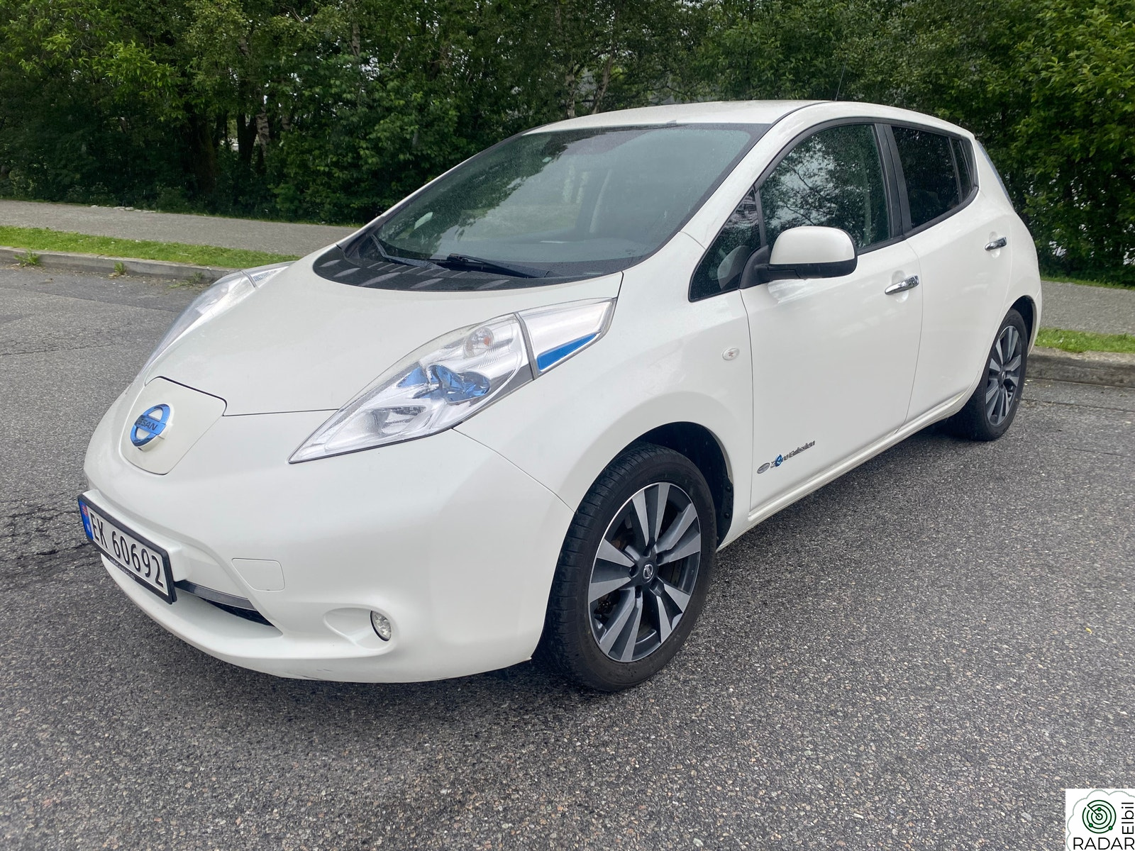 NISSAN LEAF 30kWh Tekna 30kWh (K)
