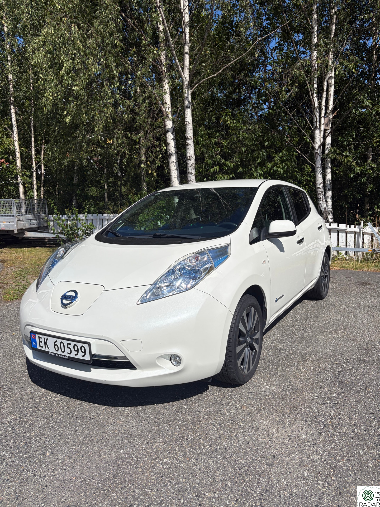 NISSAN LEAF 30kWh Tekna 30kWh