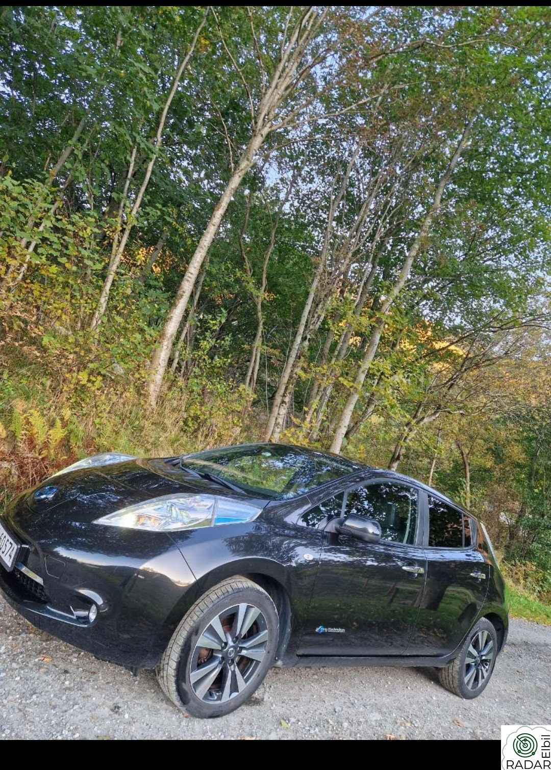 NISSAN LEAF 30kWh Tekna 30kWh (K)