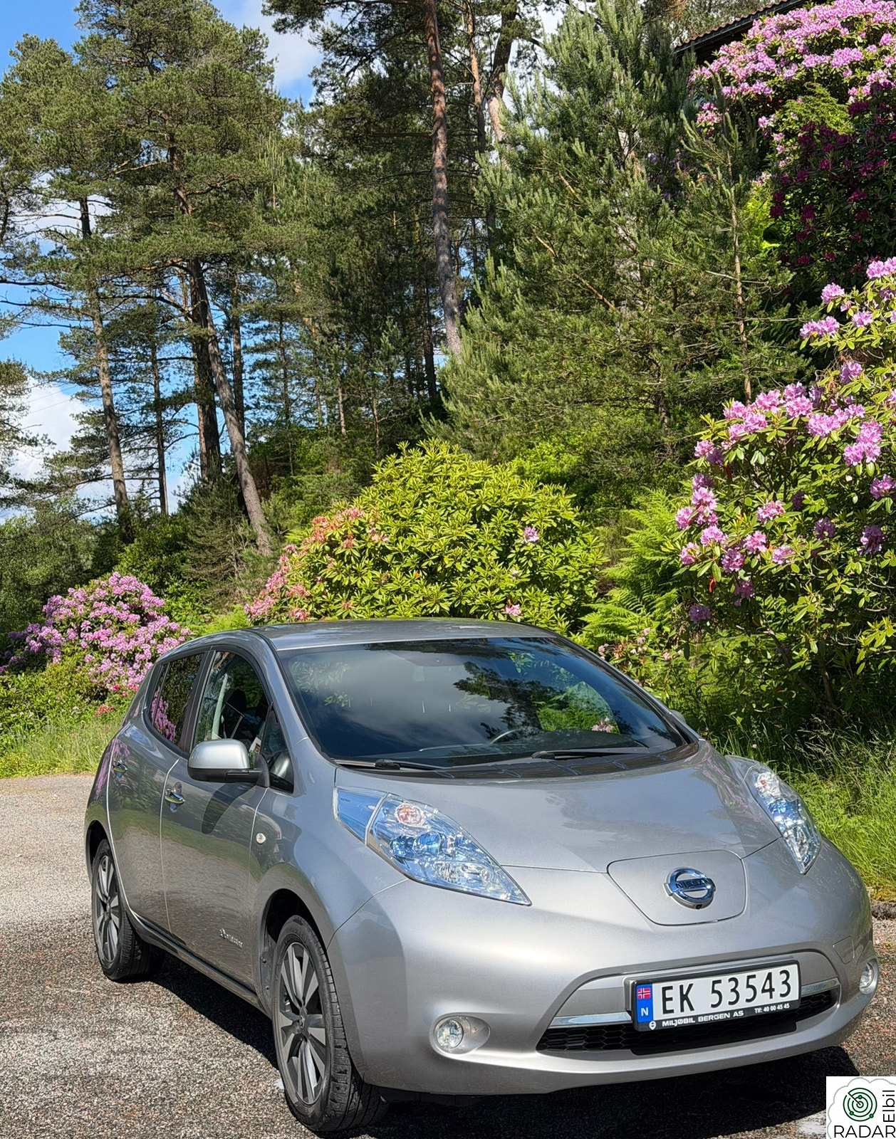 NISSAN Leaf 30kWh Tekna 30kWh