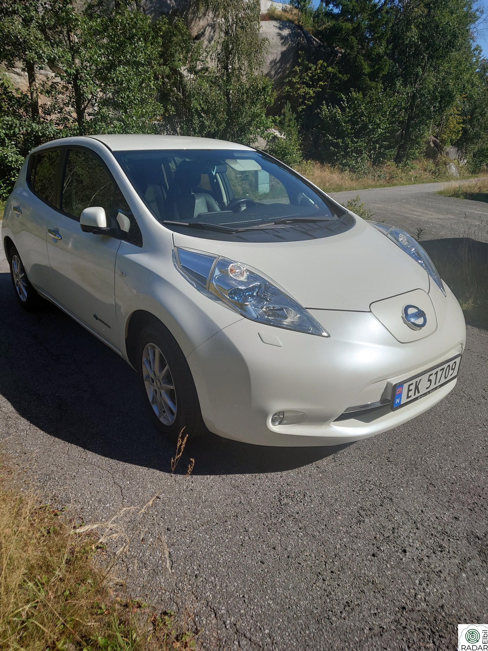 NISSAN LEAF 30kWh Tekna 30kWh