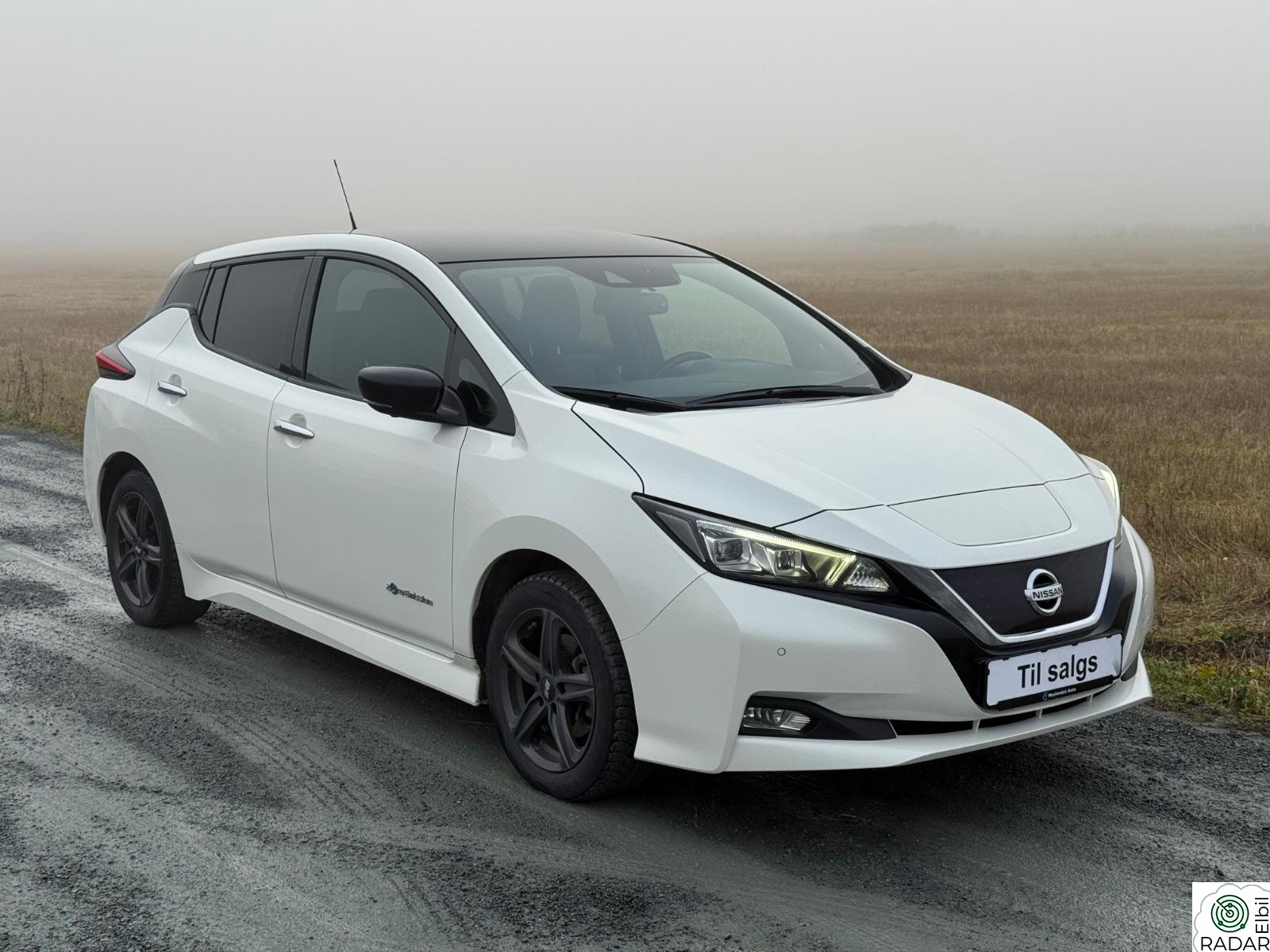 NISSAN LEAF 40kWh 40kWh/2-EIERE/ACC/BOSE/R.VARME/PROPILOT/360KAM+++