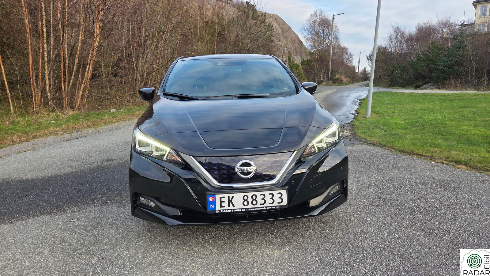 NISSAN LEAF 40kWh 40kWh Launch Edition