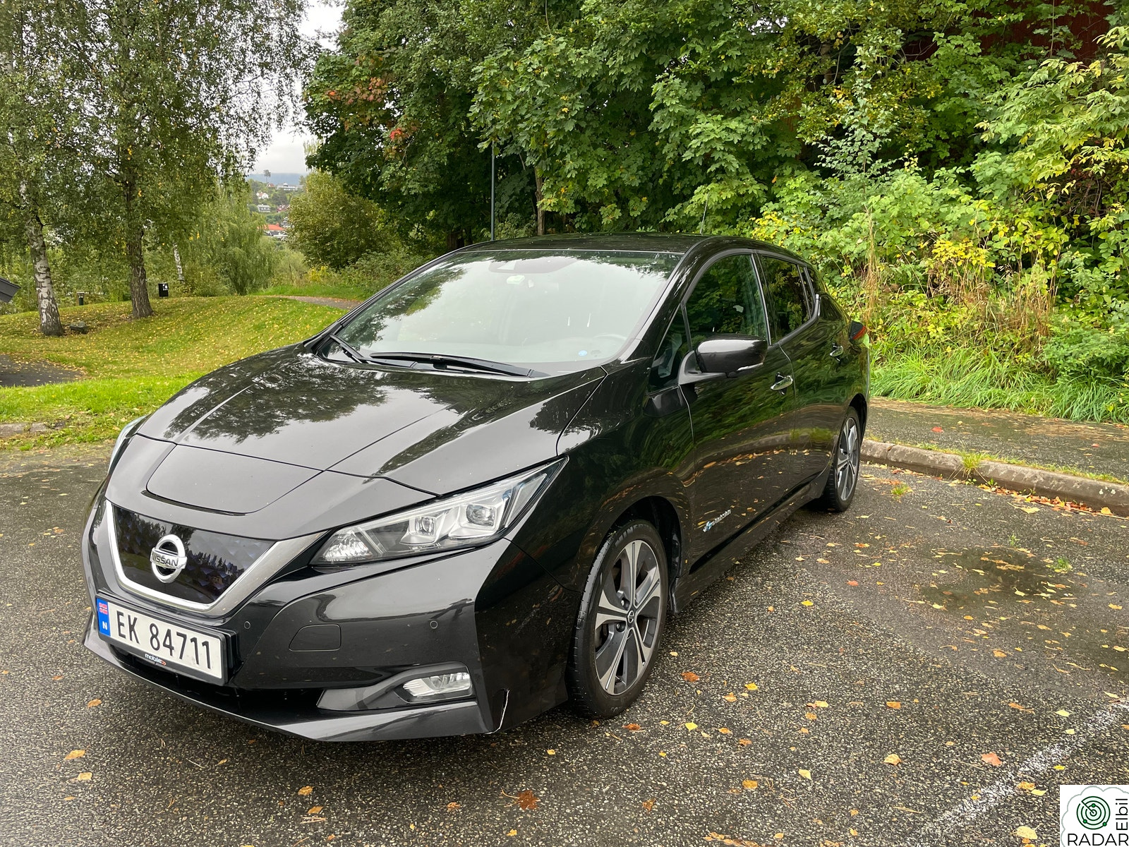 NISSAN LEAF 40kWh 40kWh Launch Edition