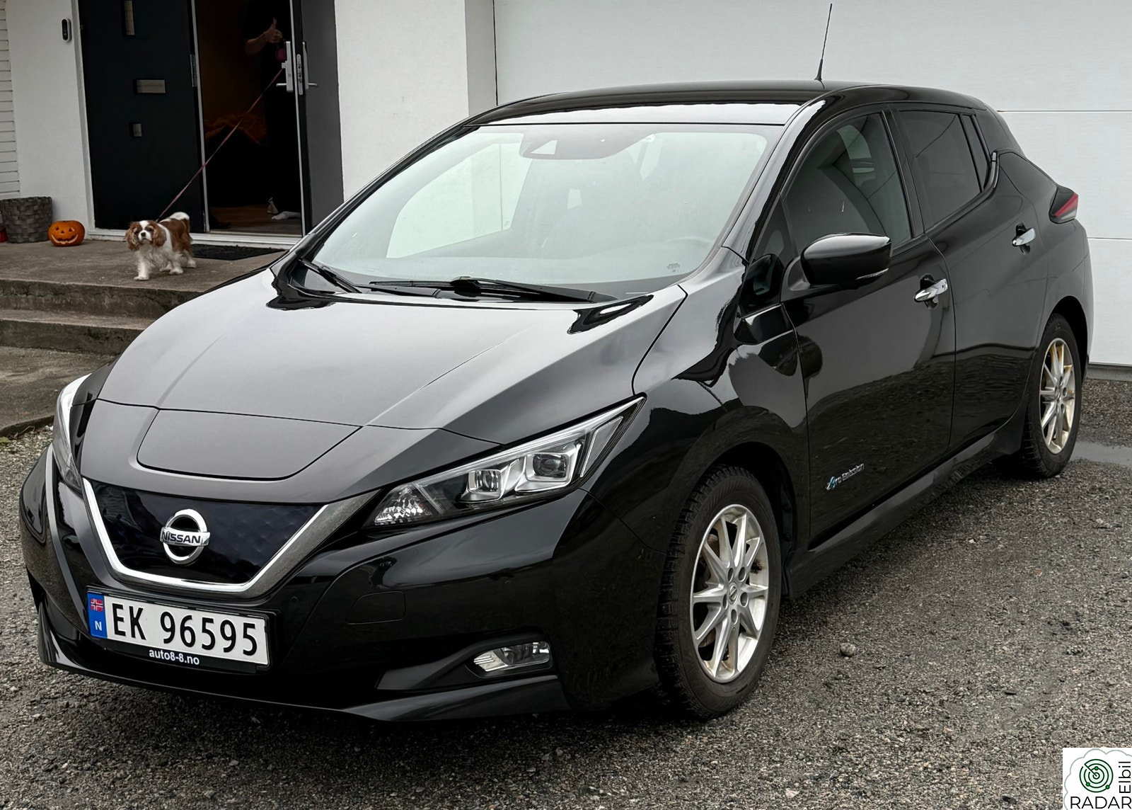 NISSAN LEAF 40kWh 40kWh Launch Edition