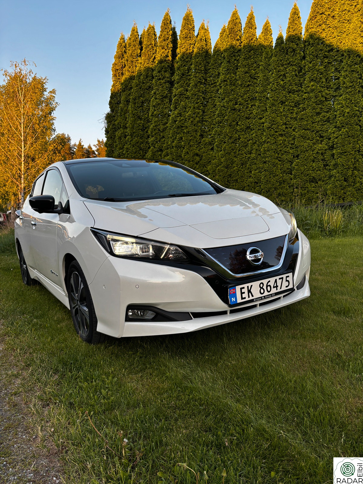 NISSAN LEAF 40kWh 40kWh Tekna/Propilot/Auto park/e-pedal/360° kamera++