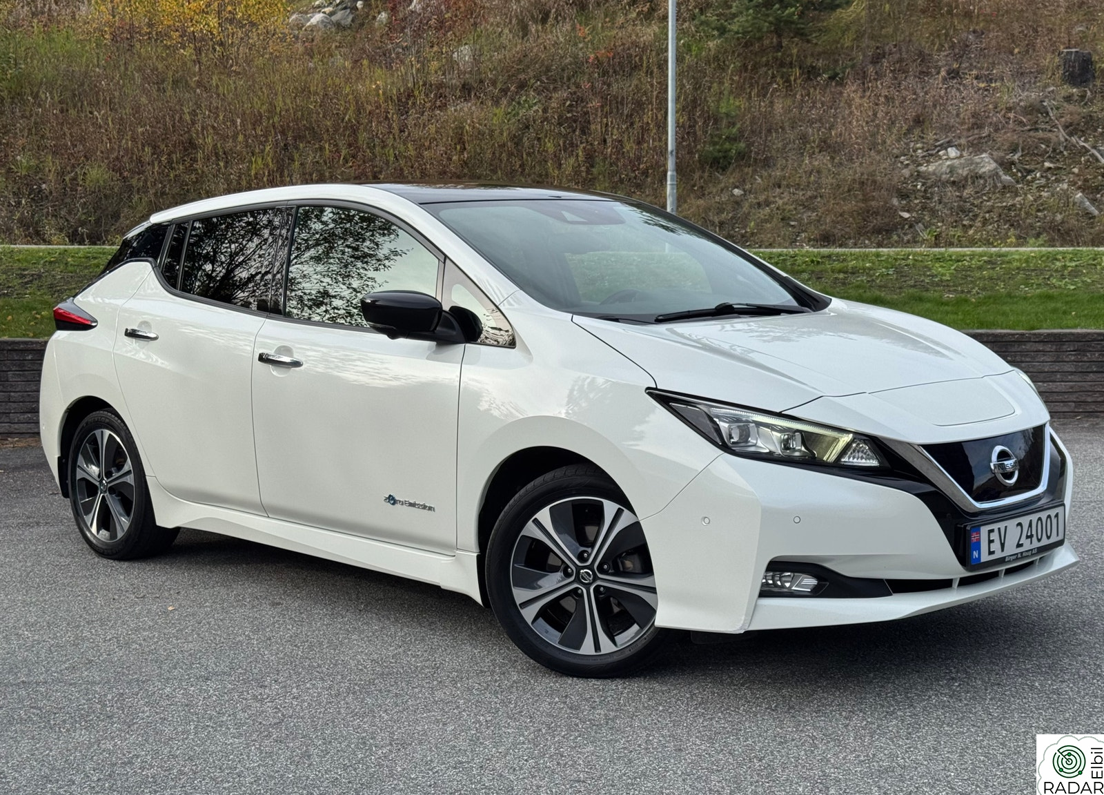 NISSAN Leaf 40kWh Tekna utgave/Bose/Skinn/LED/ACC/Navi/360kamera/17"Alu