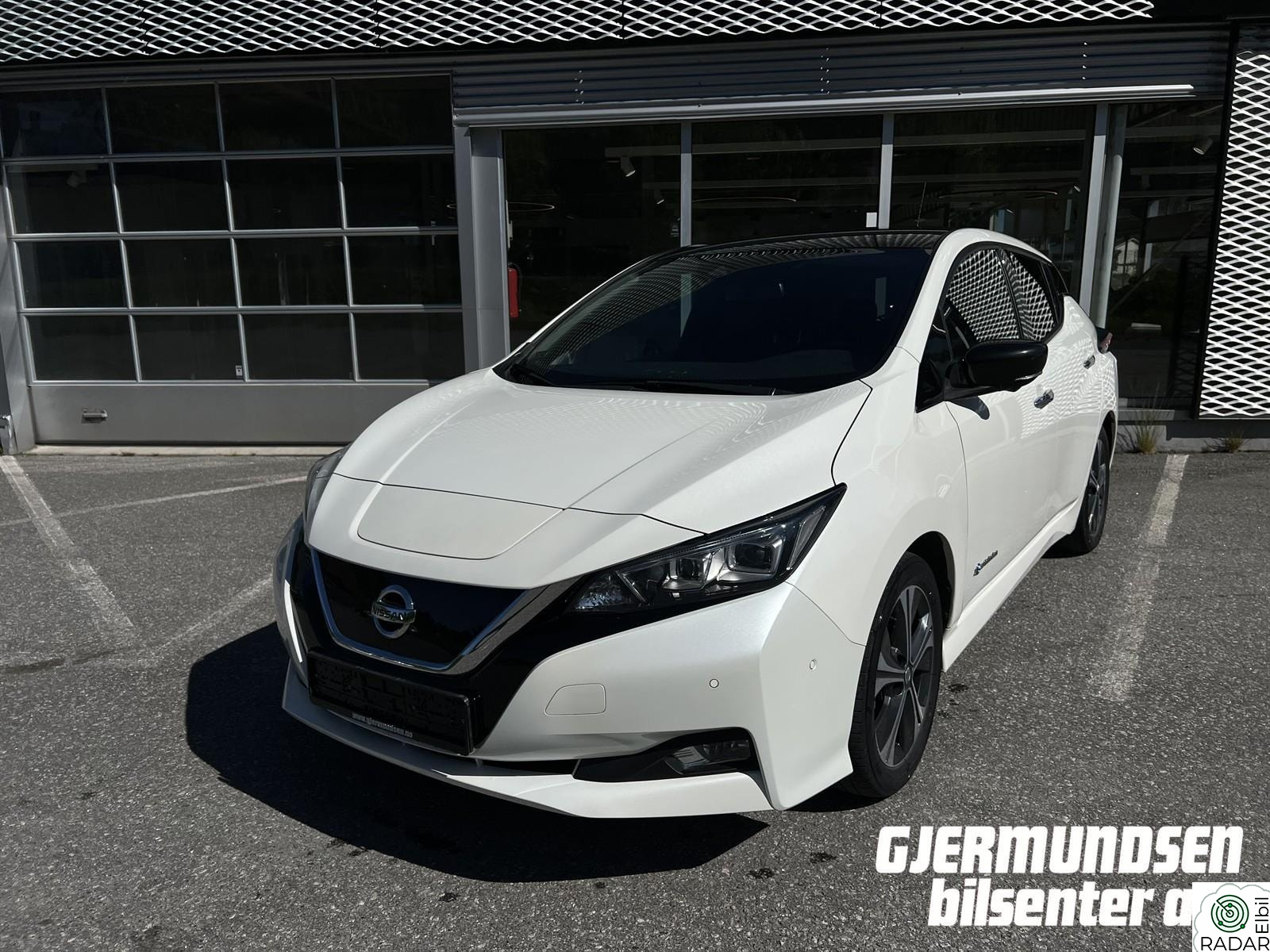 NISSAN Leaf 40kWh 40KWH TEKNA BOSE/DELSKINN/NAVI ++