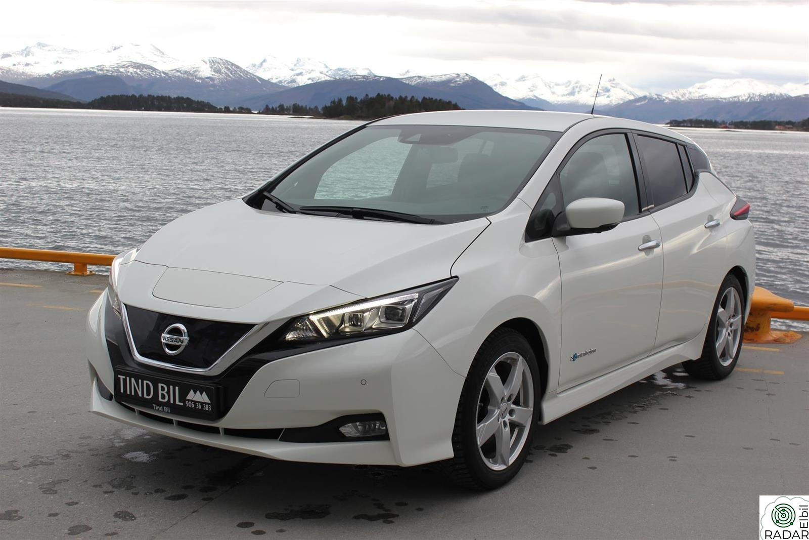 NISSAN Leaf 40kWh Tekna 40KWH 360Kam/ Bose/+++