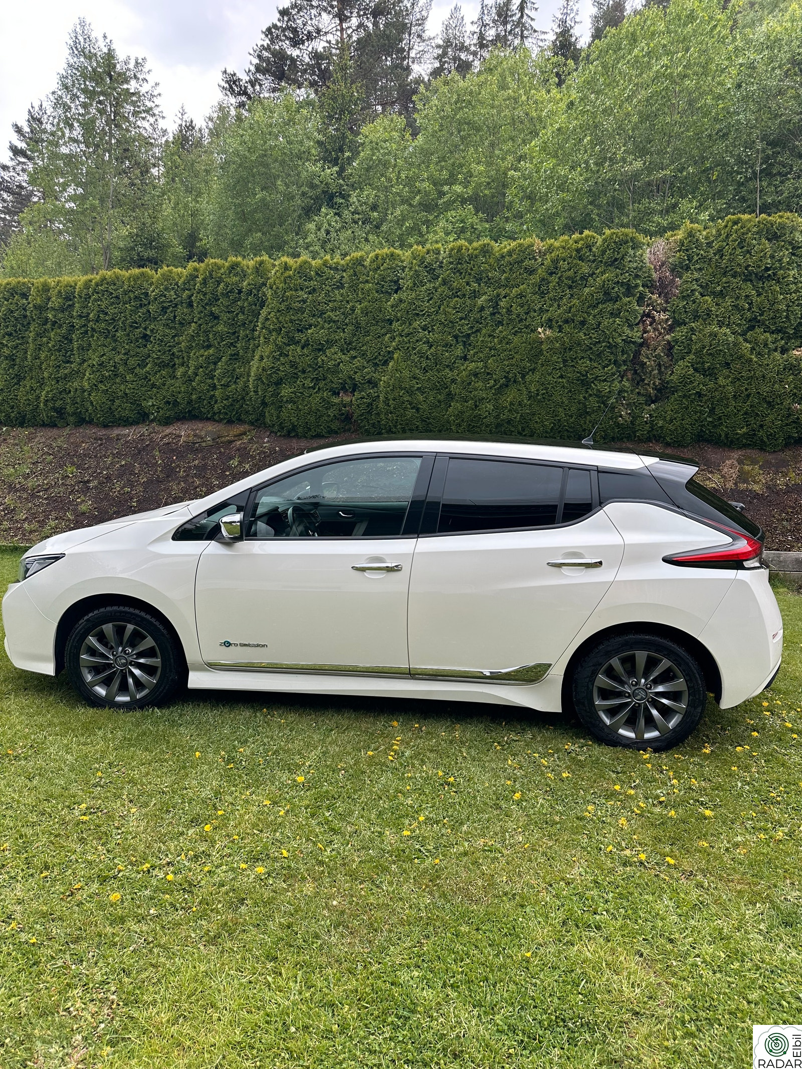 NISSAN Leaf 40kWh 40 kW