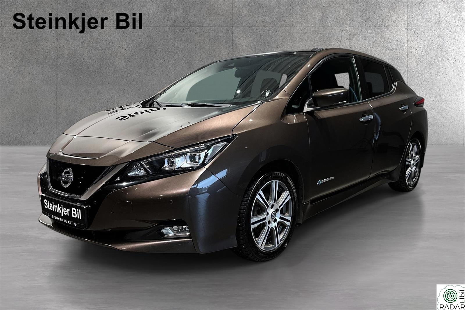 NISSAN Leaf 40kWh 40kWh Tekna/ACC/360kamera/Bose