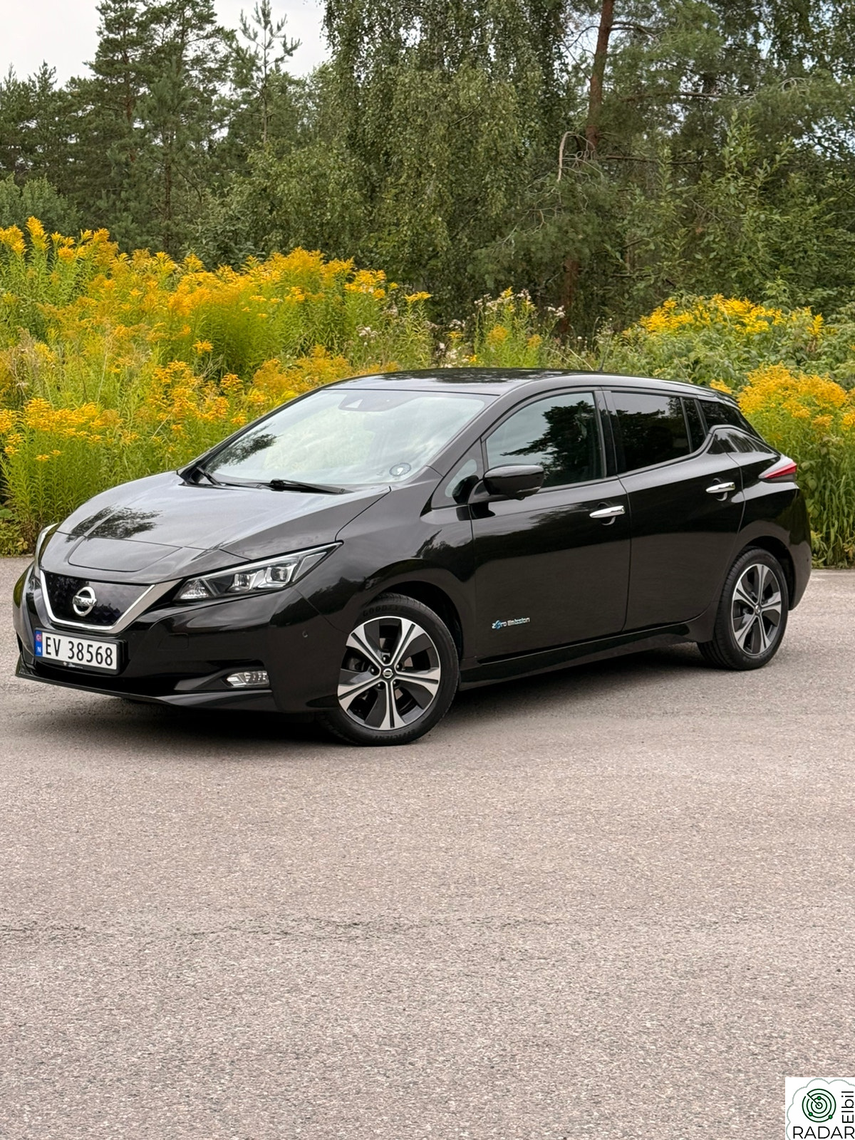 NISSAN Leaf 40kWh 40kWh TEKNA |TOPPMODELL |EU-GODKJENT |VARMEratt | BOSE