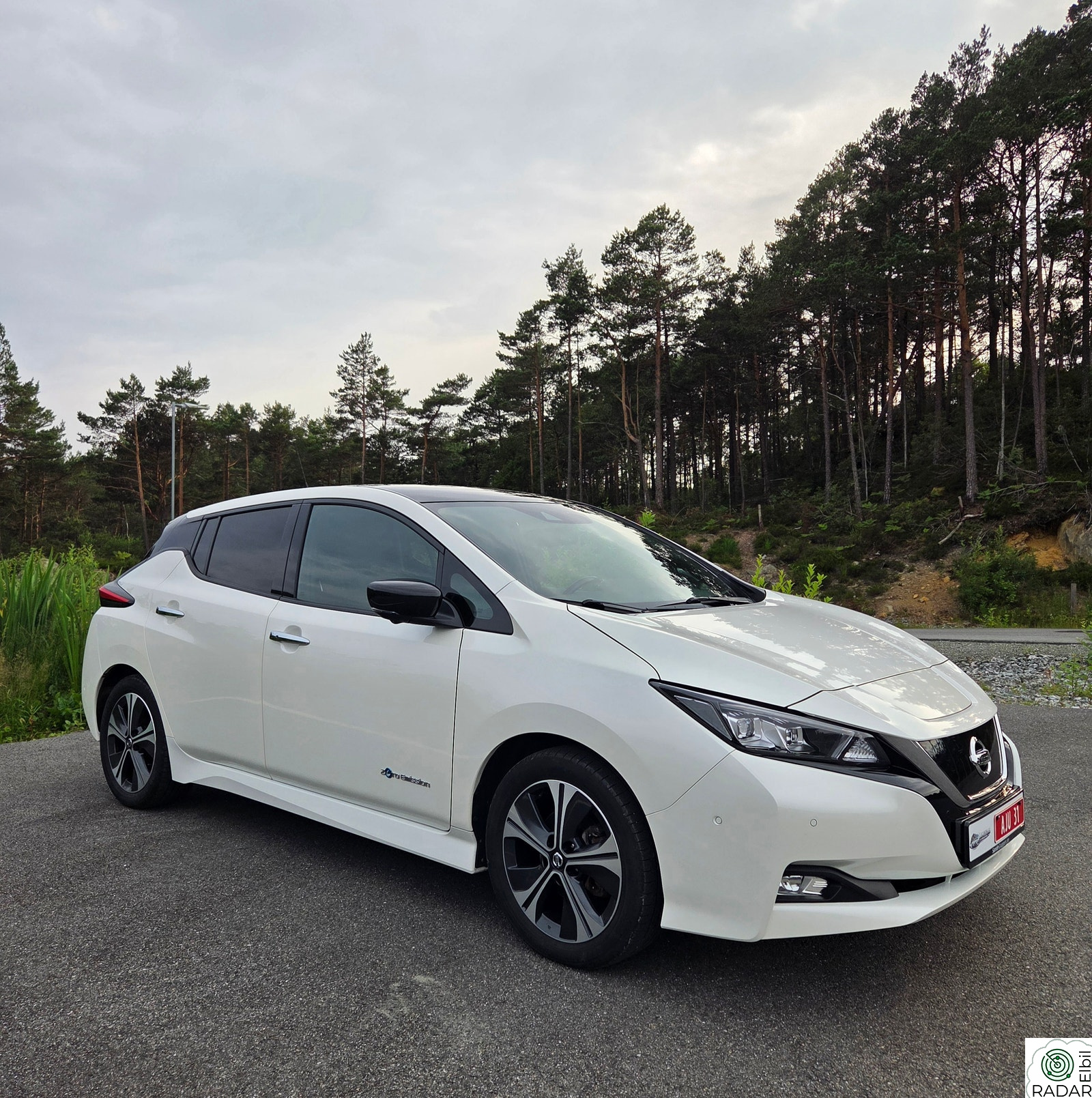 NISSAN Leaf 40kWh 40kWh Tekna|Bose | 360° kamera | ProPILOT | Skinn | LED