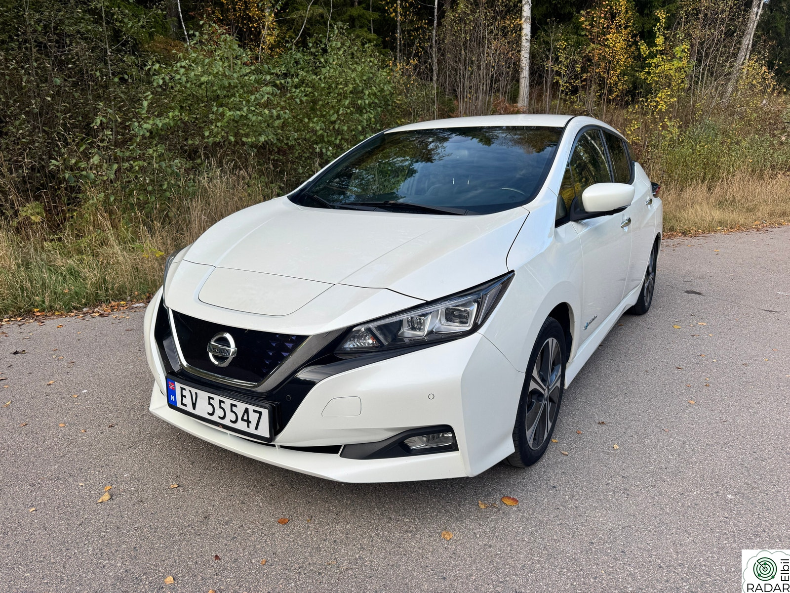 NISSAN Leaf 40kWh 40kWh Tekna