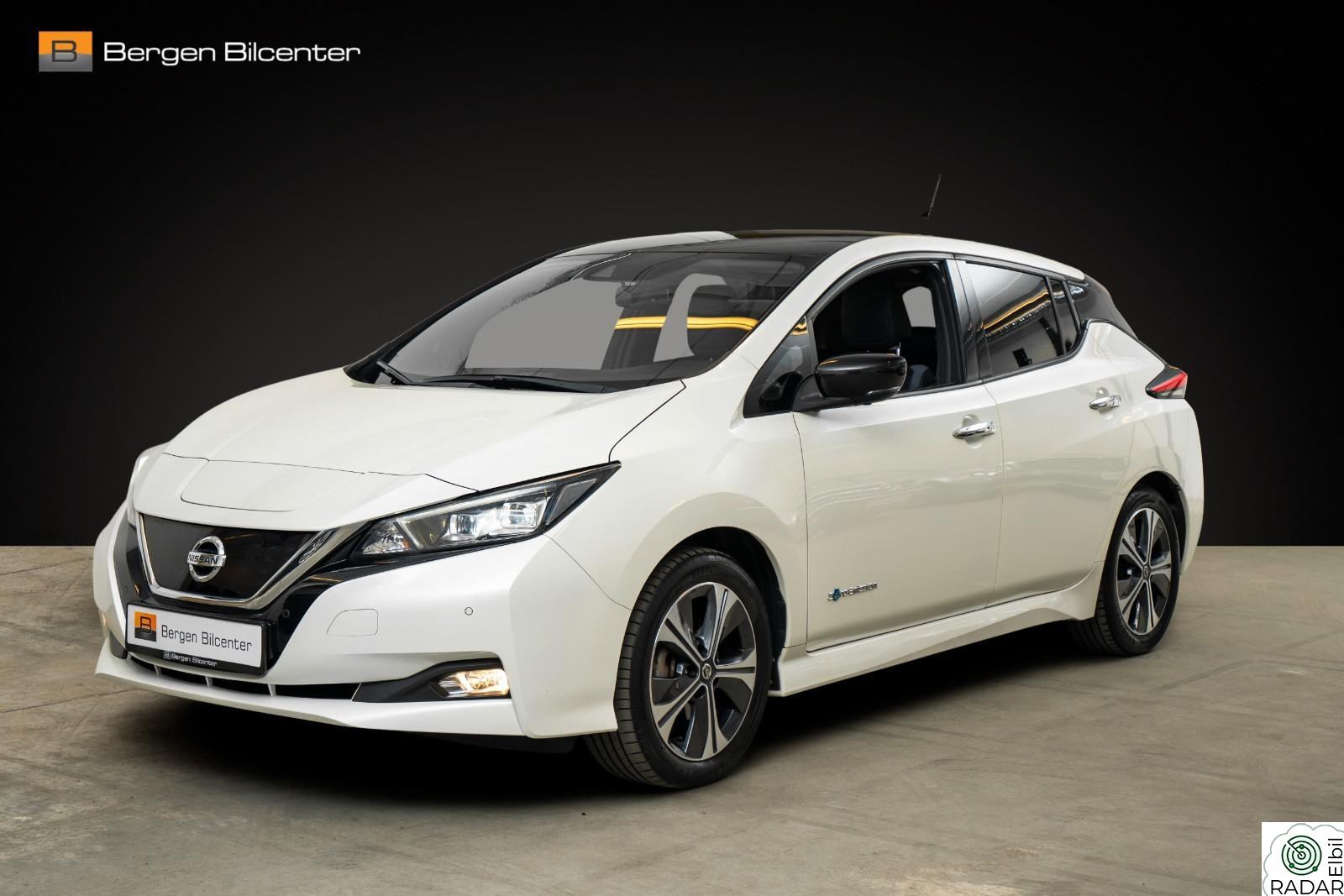 NISSAN Leaf 40kWh 40kWh Tekna Skinn R.kamera Bose Lav km Eu ok!