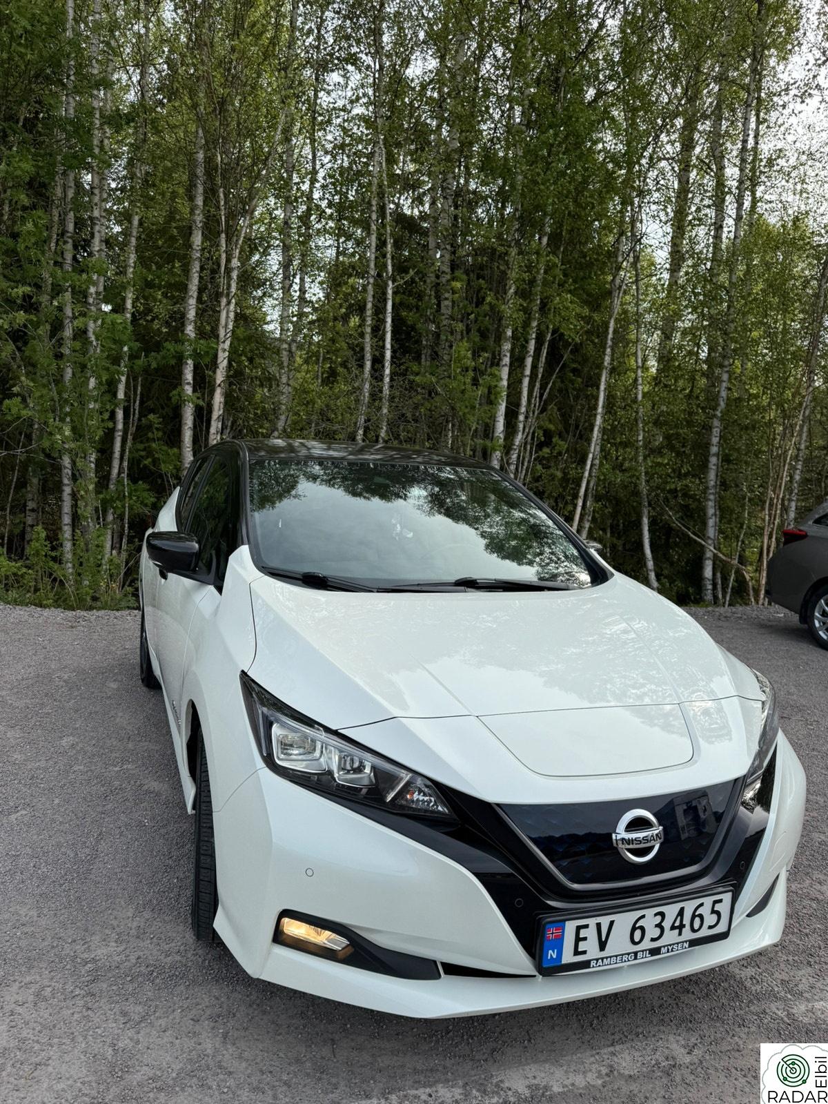 NISSAN Leaf 40kWh 40kWh/Delskinn/ACC/Navi/360/Bose/P.Sensor++