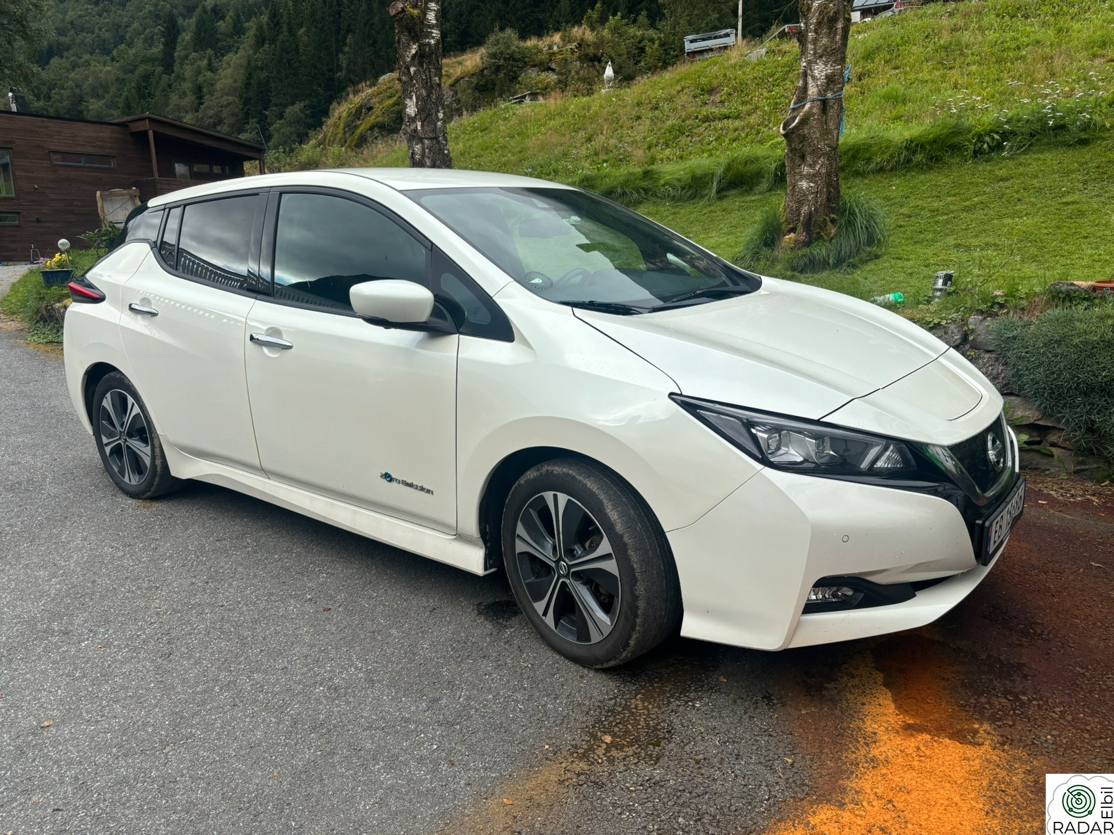 NISSAN Leaf 40kWh 40kWh NORSK 1 EIER BOSE KAMERA ACC KR 2.000,-/MND