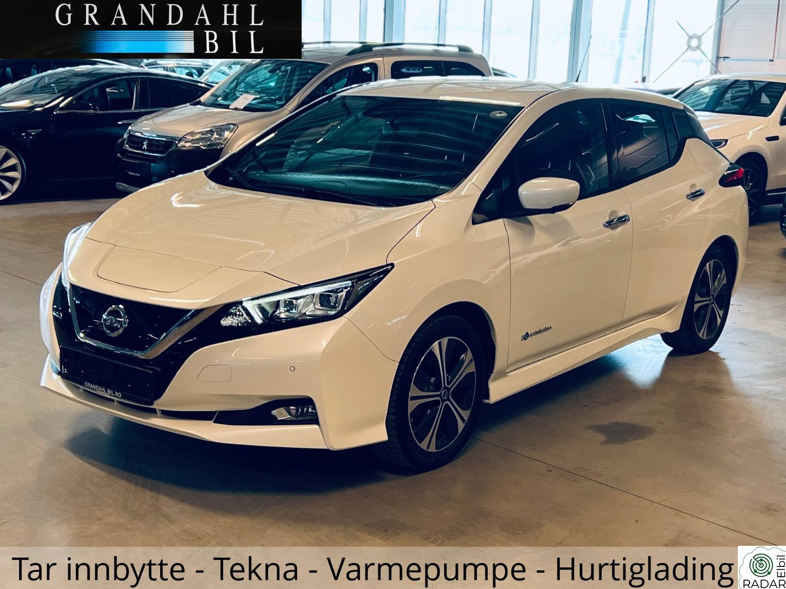 NISSAN Leaf 40kWh 40 Kwh - TEKNA - SKINN - 360 grader k. - Varmepumpe