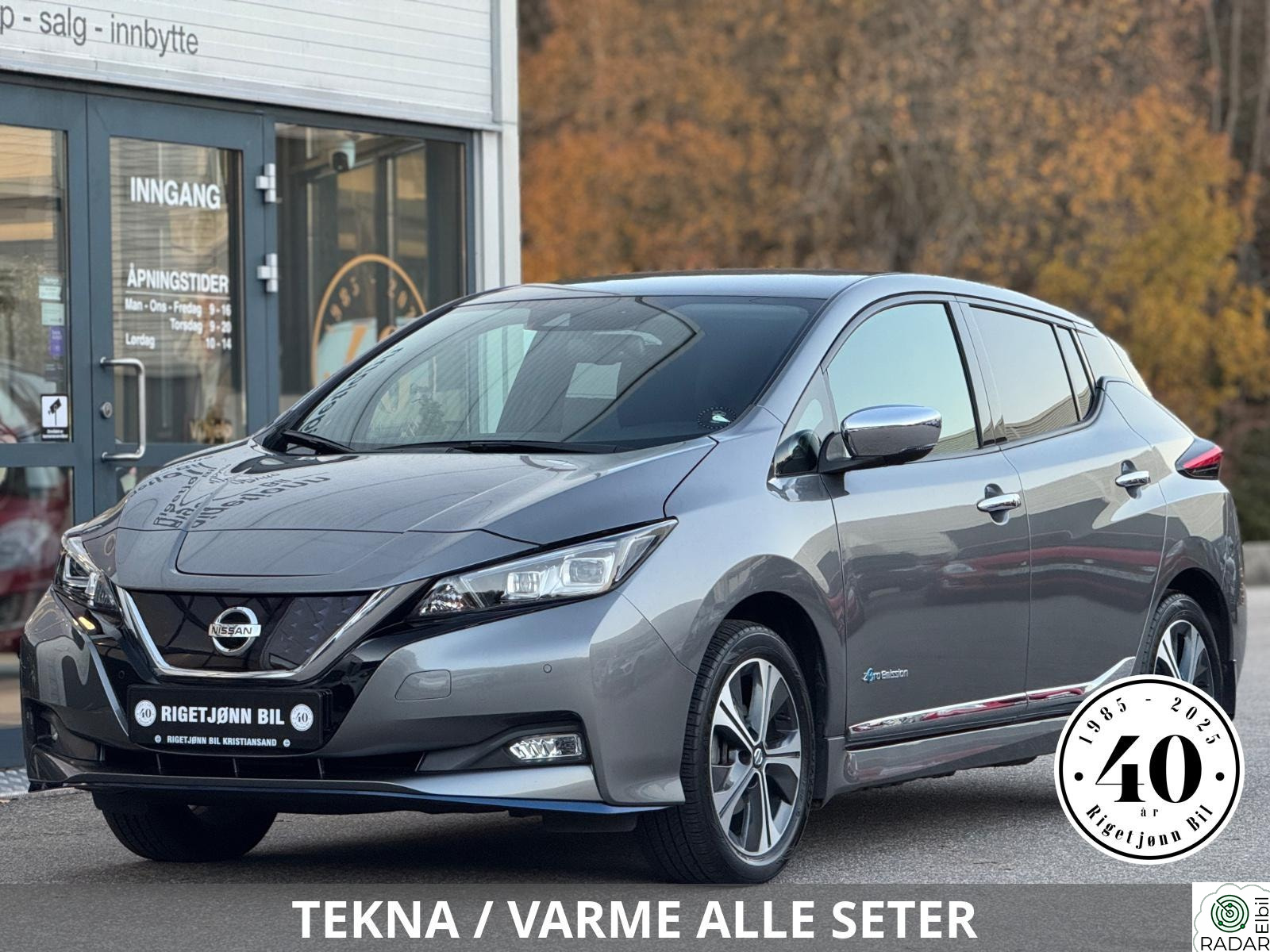 NISSAN Leaf 62kWh 62kWh e+, Tekna, Skinn, BOSE, ACC, 360 kamera