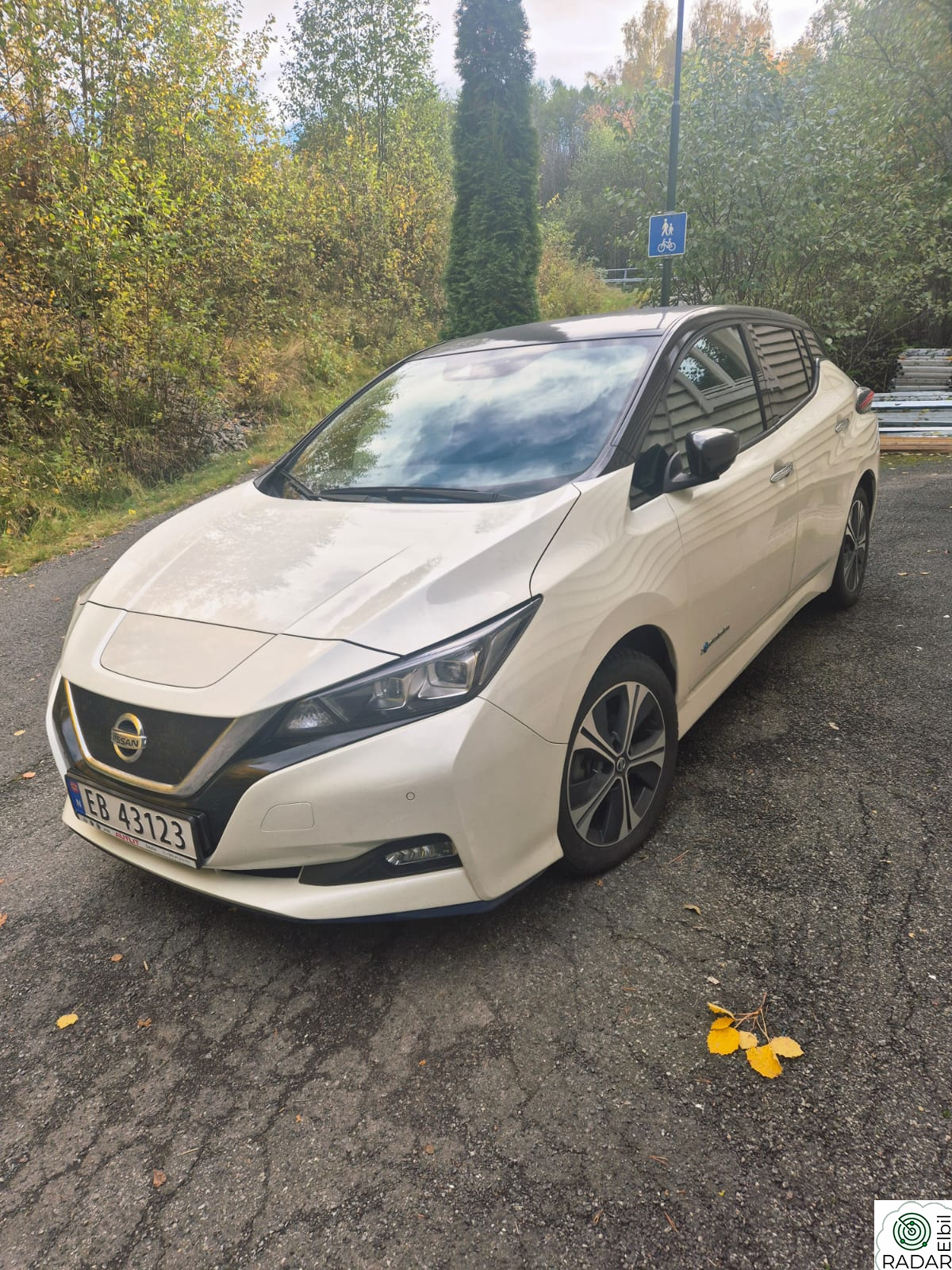 NISSAN Leaf 62kWh 62kWh e+ Tekna