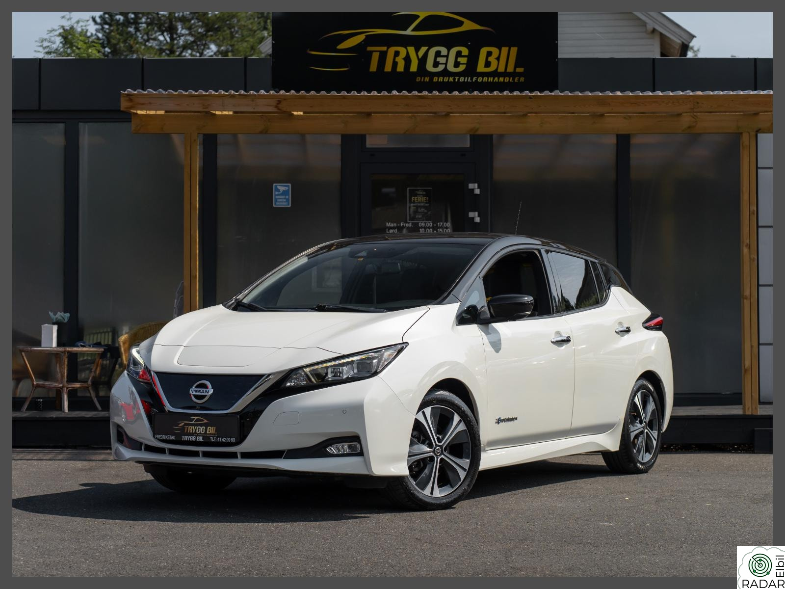 NISSAN Leaf 40kWh 40KWH/TEKNA/SKINN/BOSE/DAB/NAVI/360KAMERA/EU-2028