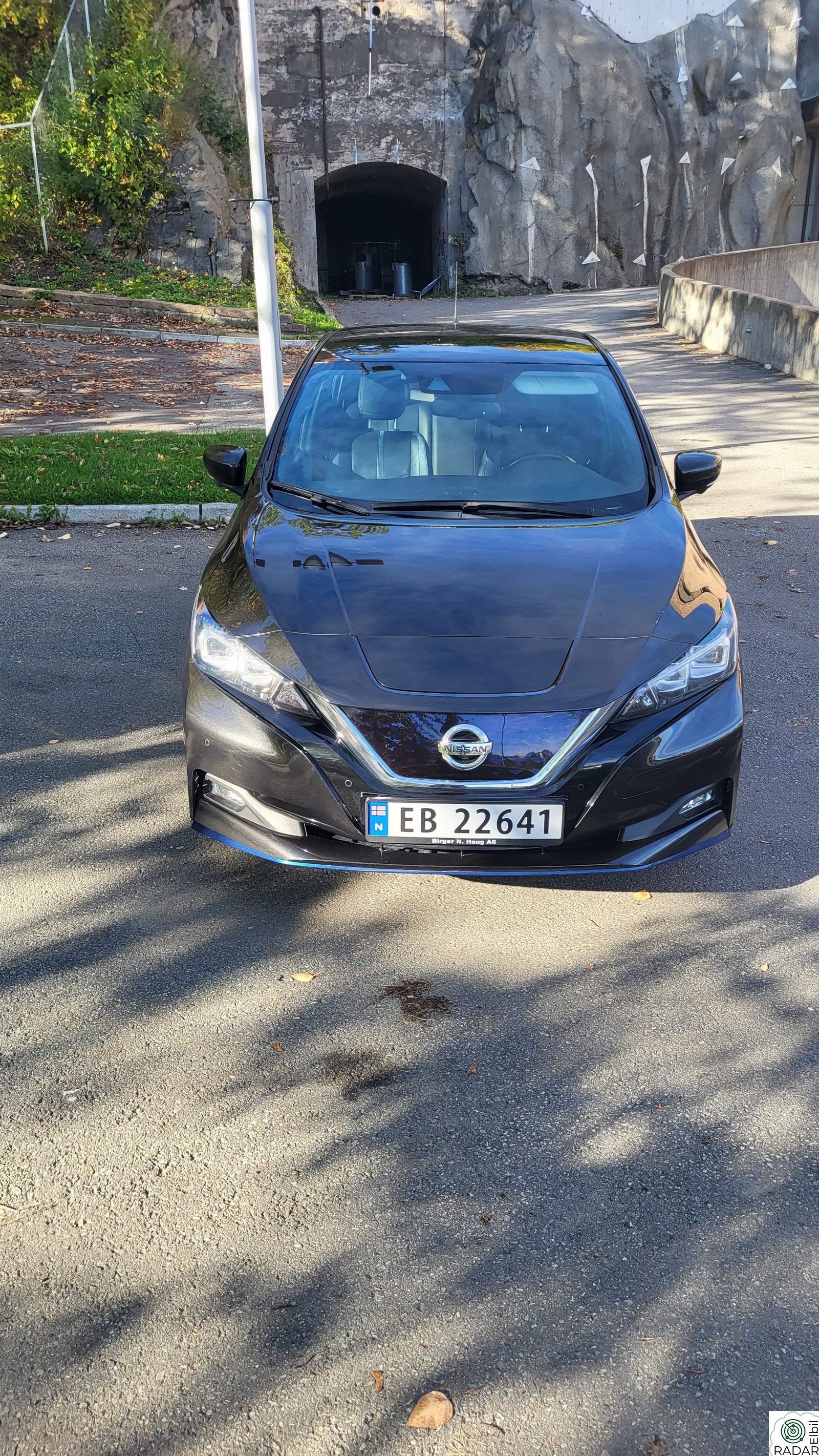 NISSAN Leaf 62kWh 62kWh e+ Tekna