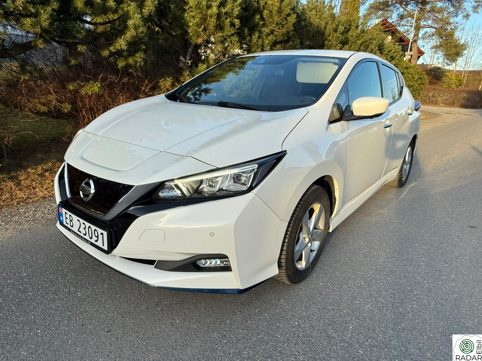 NISSAN Leaf 62kWh 62kWh e+