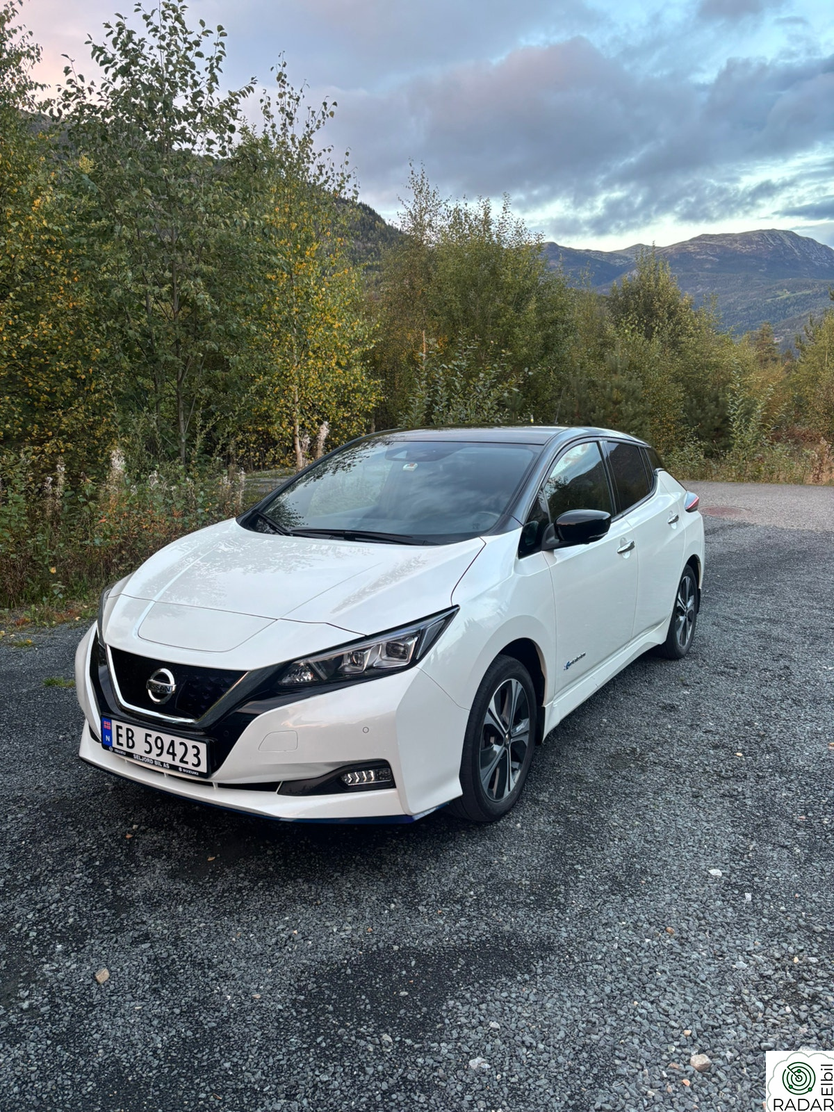 NISSAN Leaf 62kWh 62kWh e+ Tekna