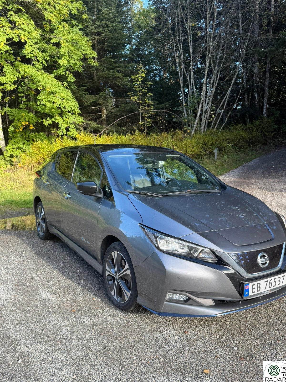 NISSAN Leaf 62kWh 62kWh e+ Tekna
