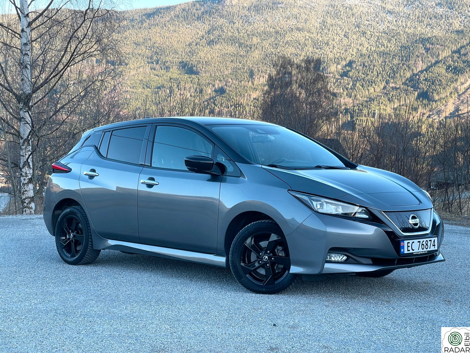 NISSAN LEAF 62kWh 62kWh e+/Tekna/Skinn/Bose/ACC/360 Kamera/Alu/++
