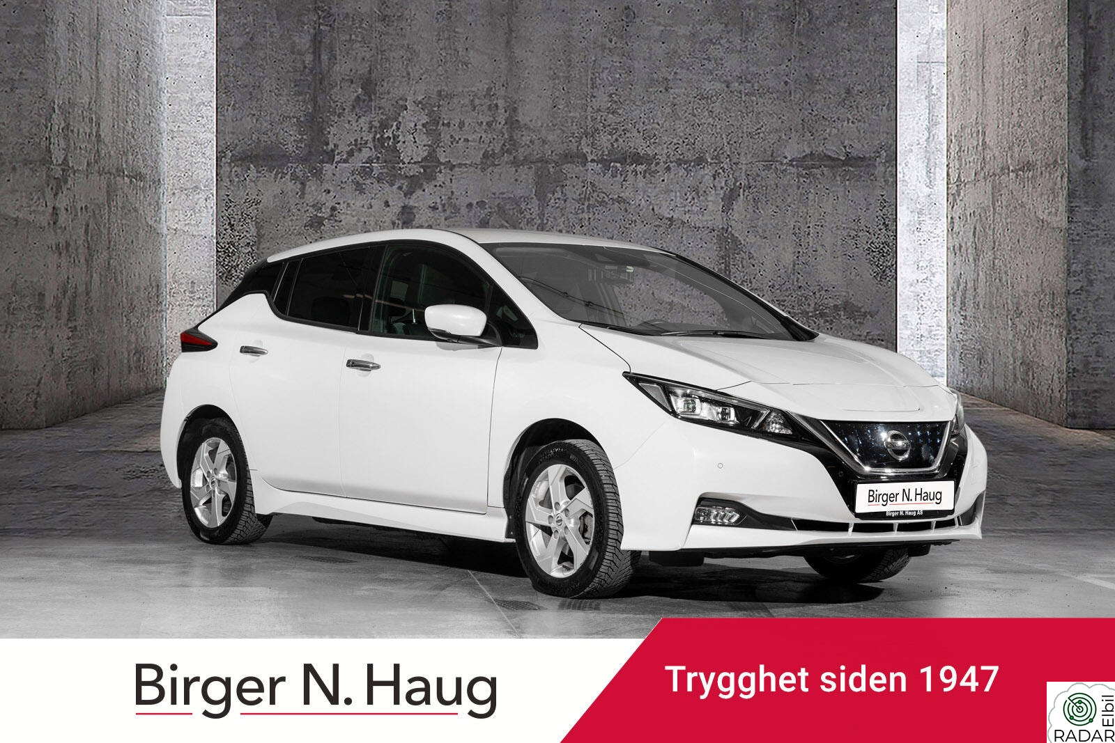 NISSAN LEAF 62kWh 62kWh e+ Tekna SKINN / BOSE / 360 KAMERA ++