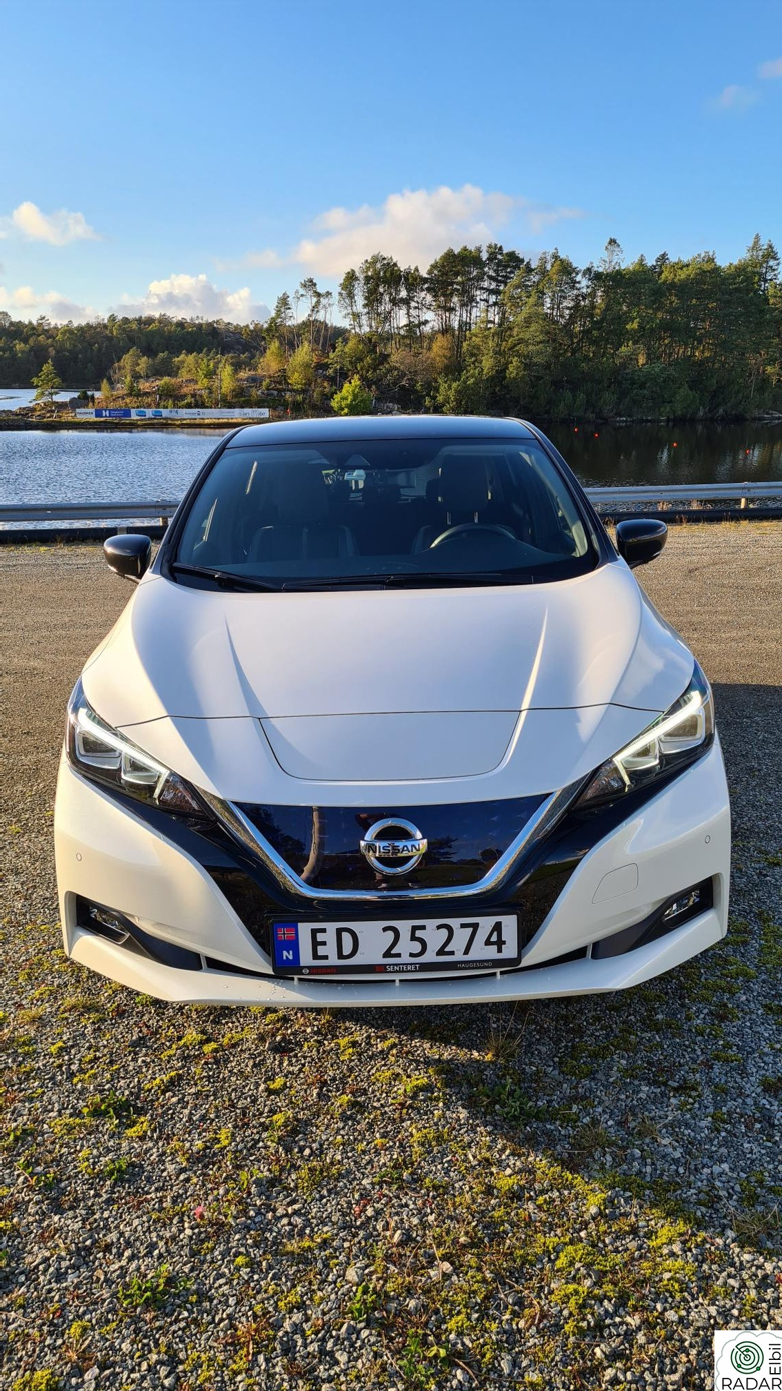 NISSAN LEAF 62kWh 62kWh e+ Tekna