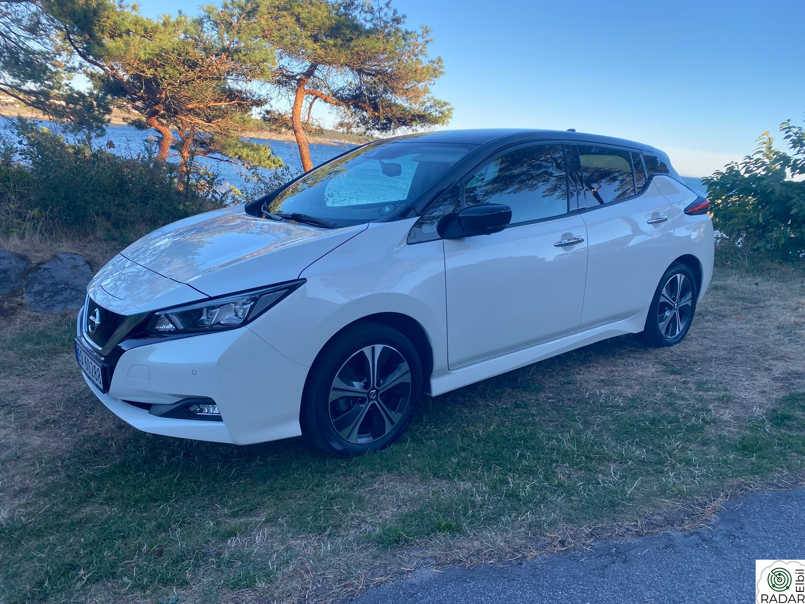 NISSAN LEAF 62kWh SE!62kWh.N-Con.Strøken!Delskinn.ACC.Nybilgar.