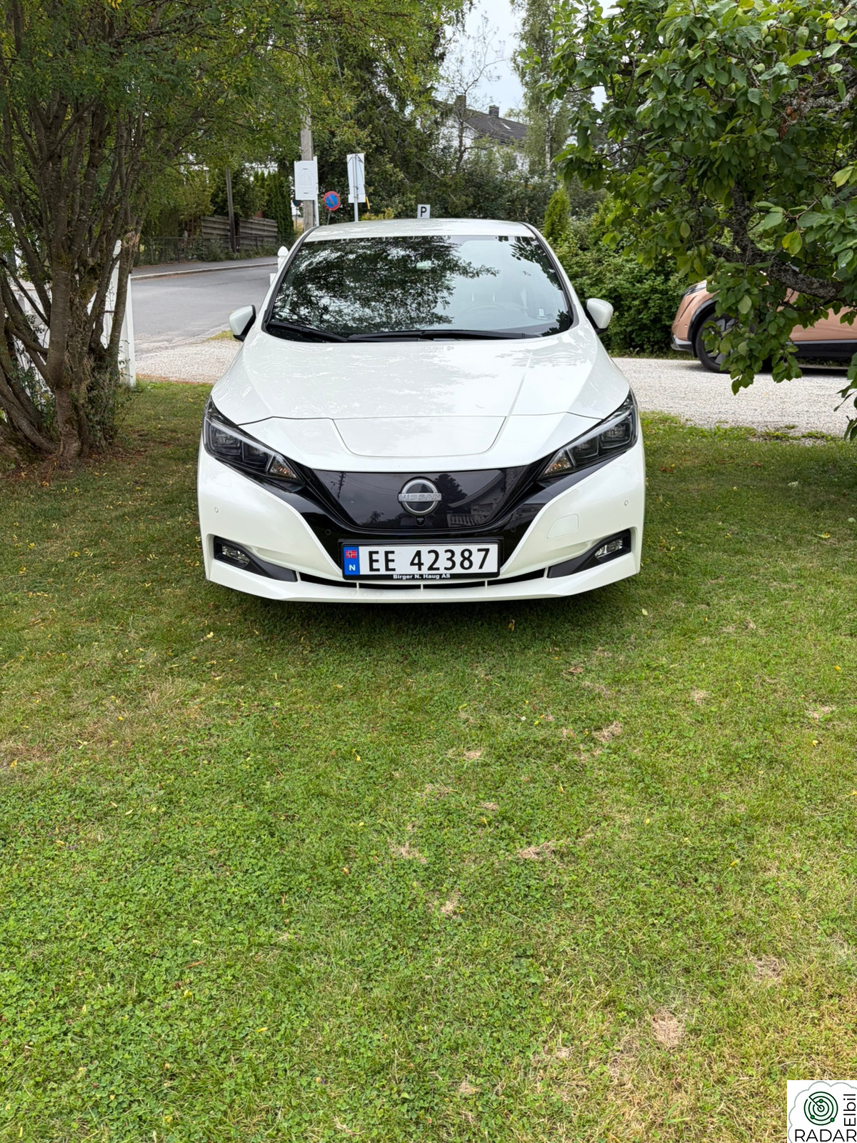NISSAN LEAF 62kWh 62kWh e+ Tekna