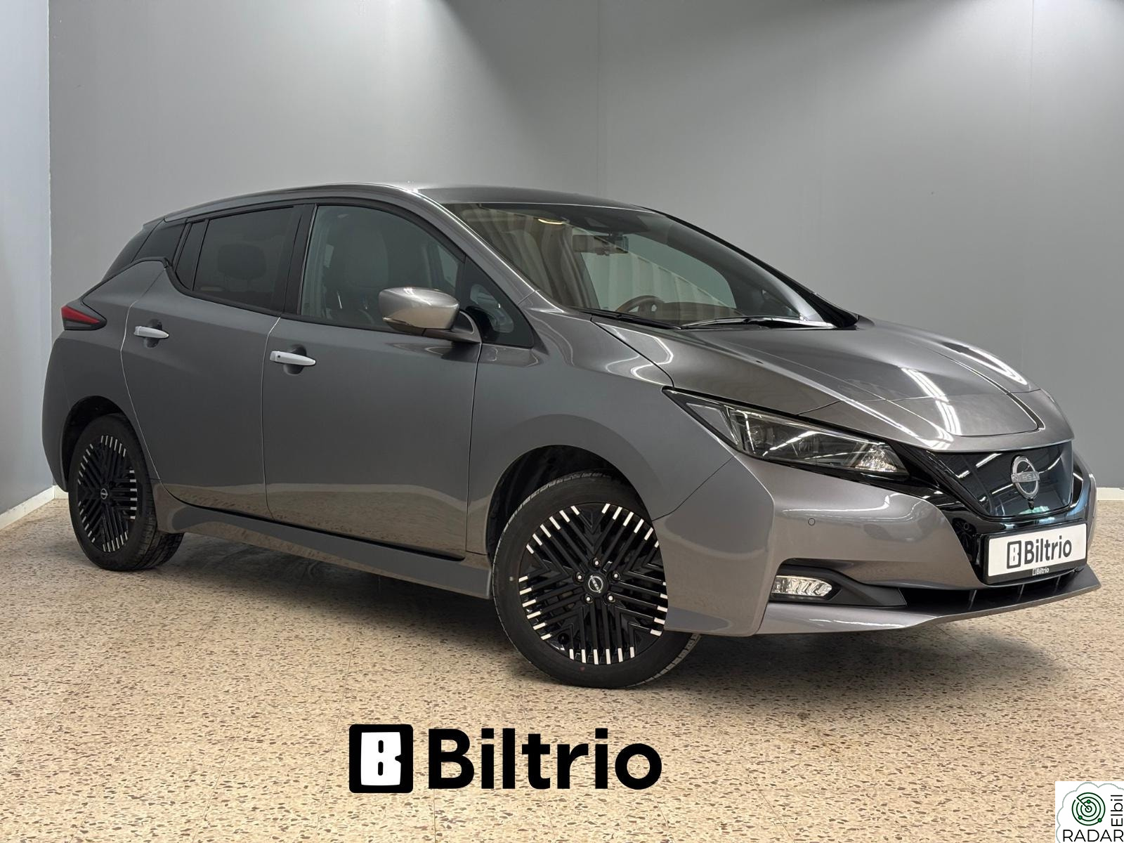 NISSAN LEAF 62kWh 62kWh e+ / Tekna / Bose / 360Kamera / ACC