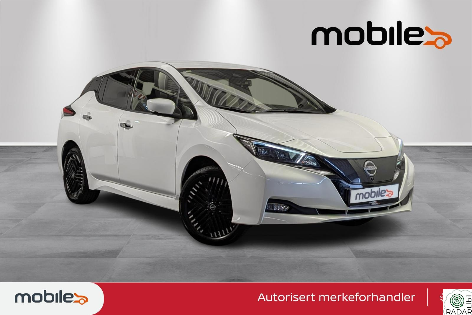 NISSAN LEAF 62kWh e+ 59kWh Tekna/Skinn/360cam/Bose+++