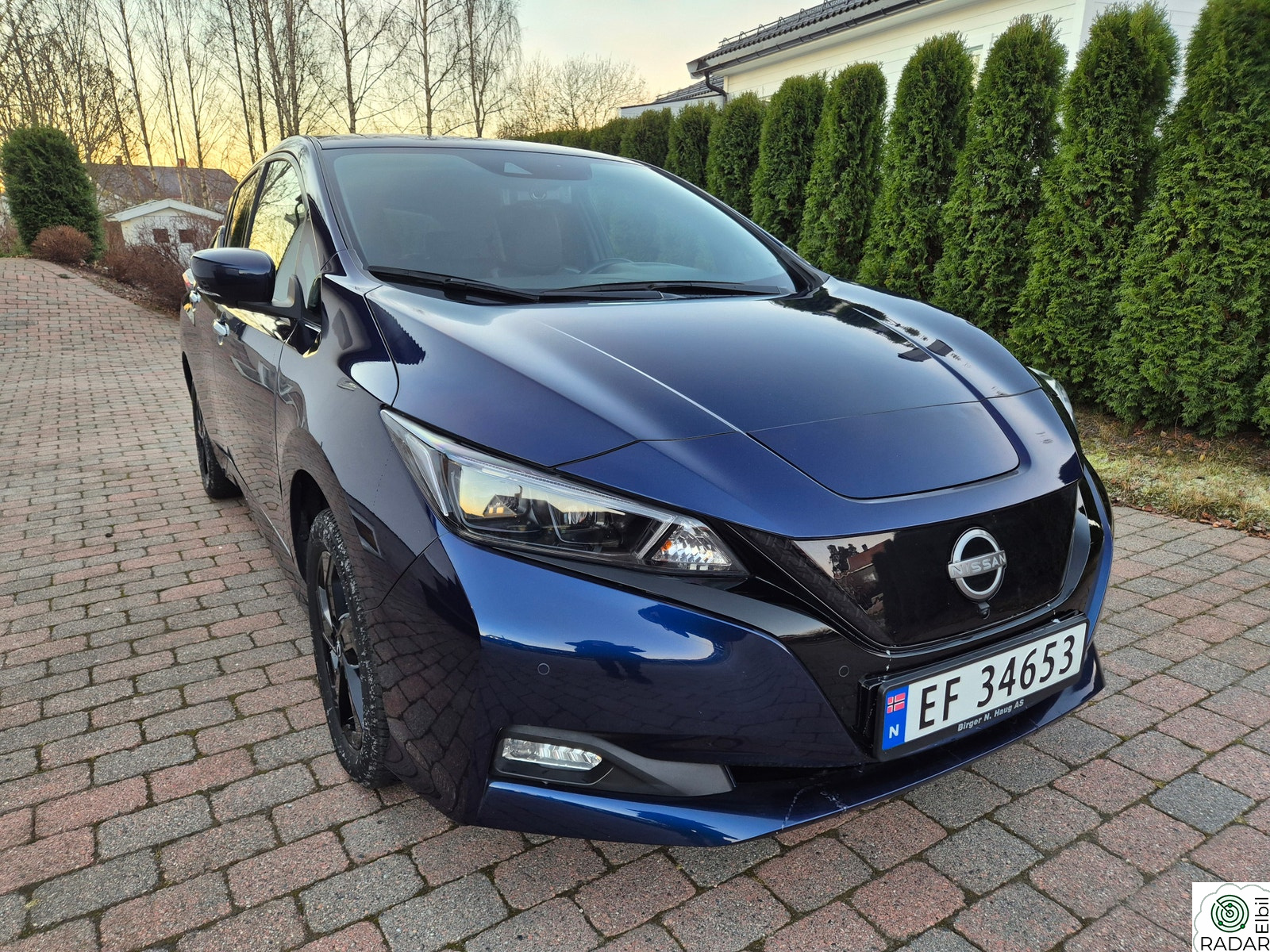 NISSAN LEAF 62kWh e+ 59kWh Tekna