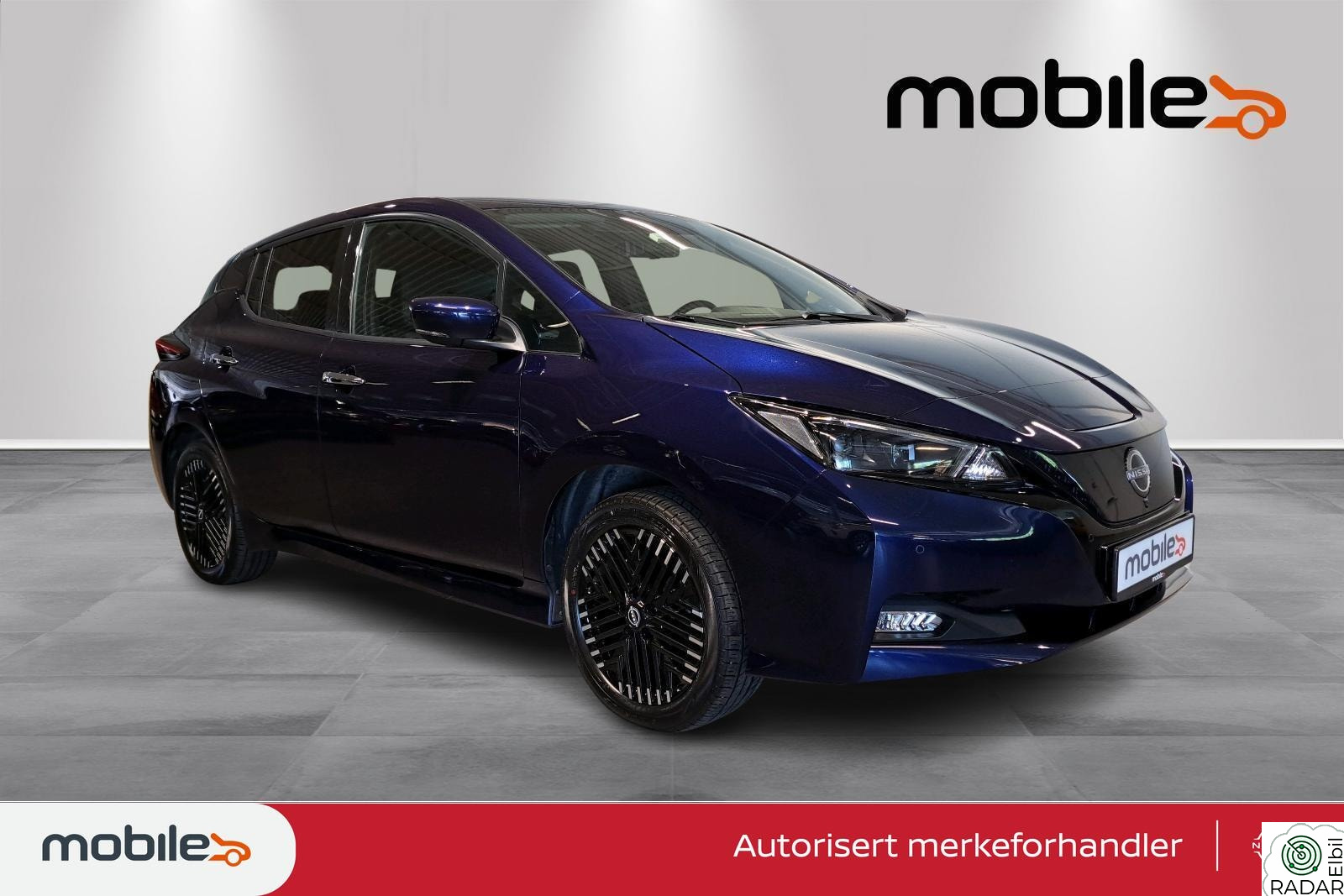 NISSAN LEAF 62kWh e+ 59kWh Tekna WLTP 395KM