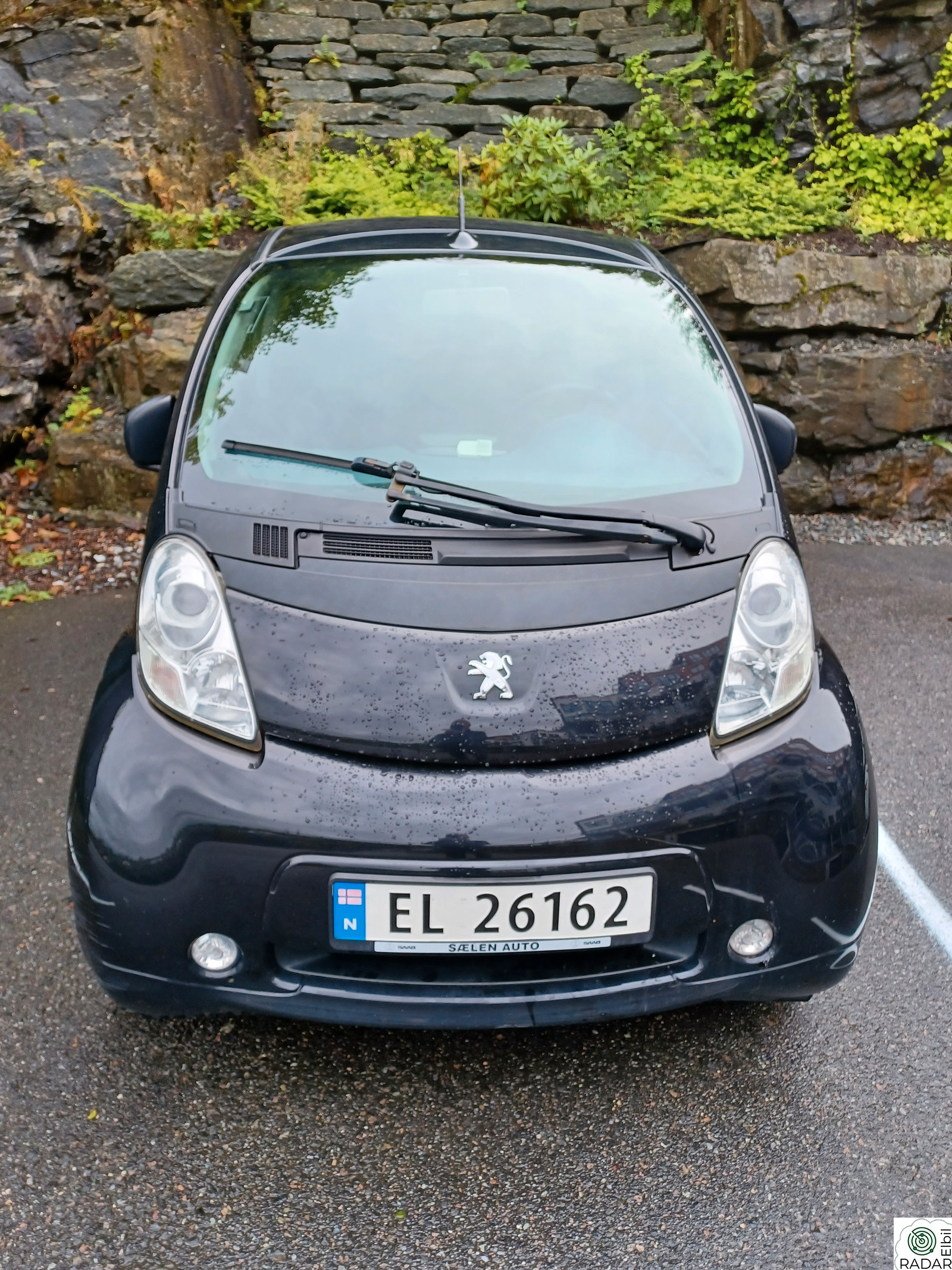 PEUGEOT ION