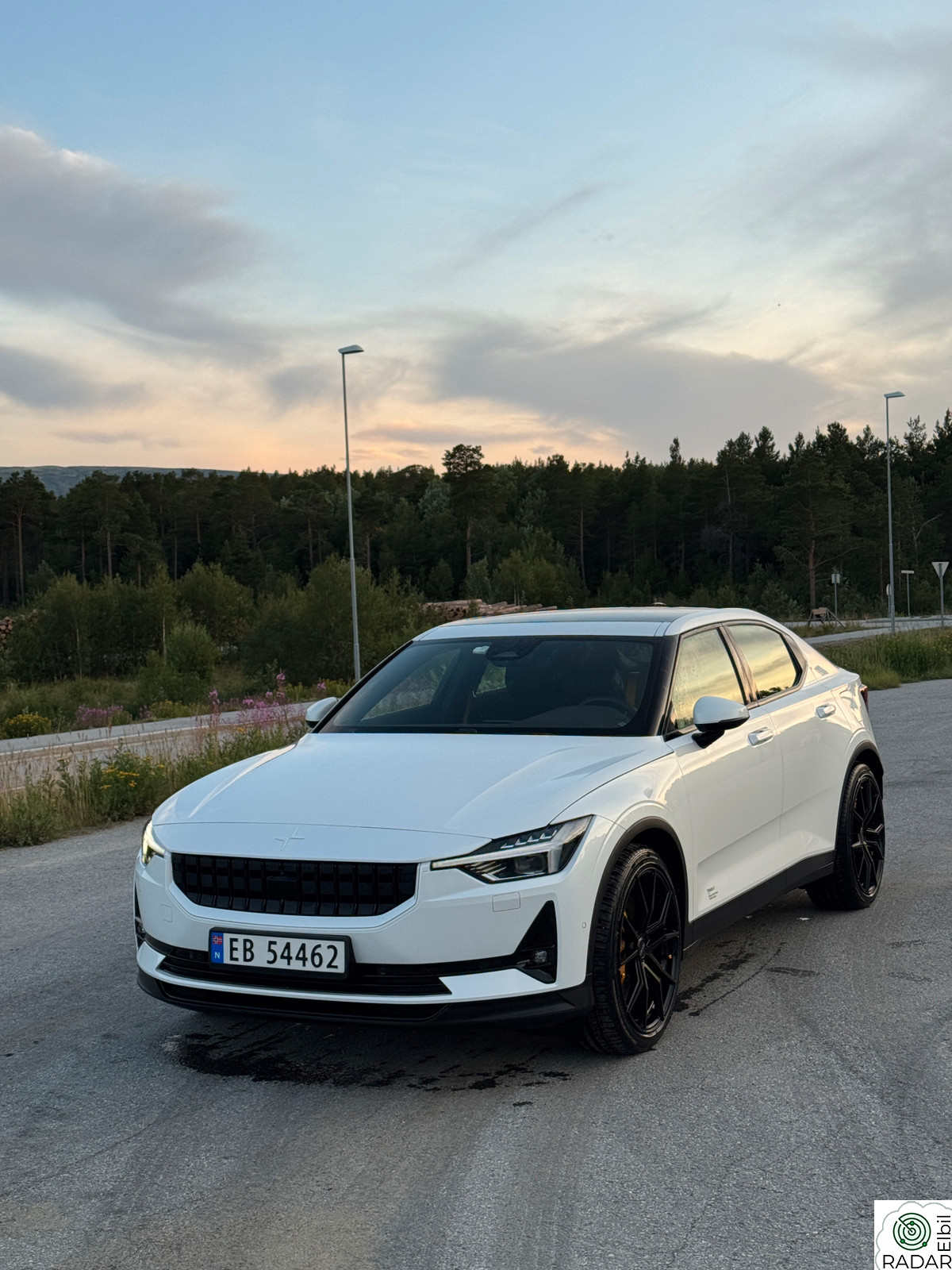 POLESTAR 2 Performance AWD Pilot/Pluss/H&K/Pixel/ACC/HK/Pano
