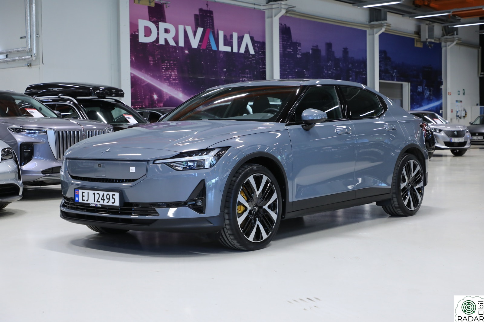 POLESTAR 2 Performance LRDM/H&K/360-Kamera/Pixel/Acc