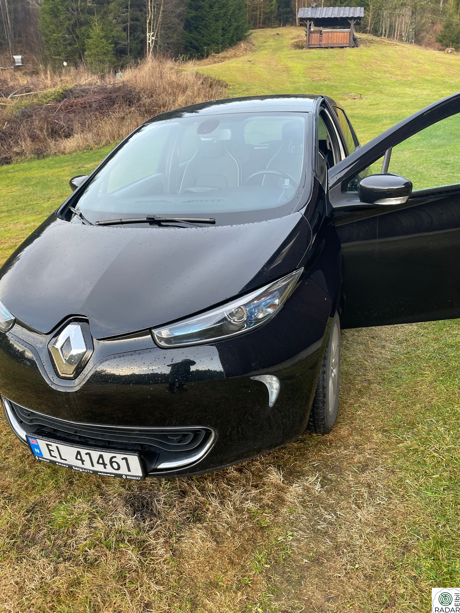 RENAULT ZOE